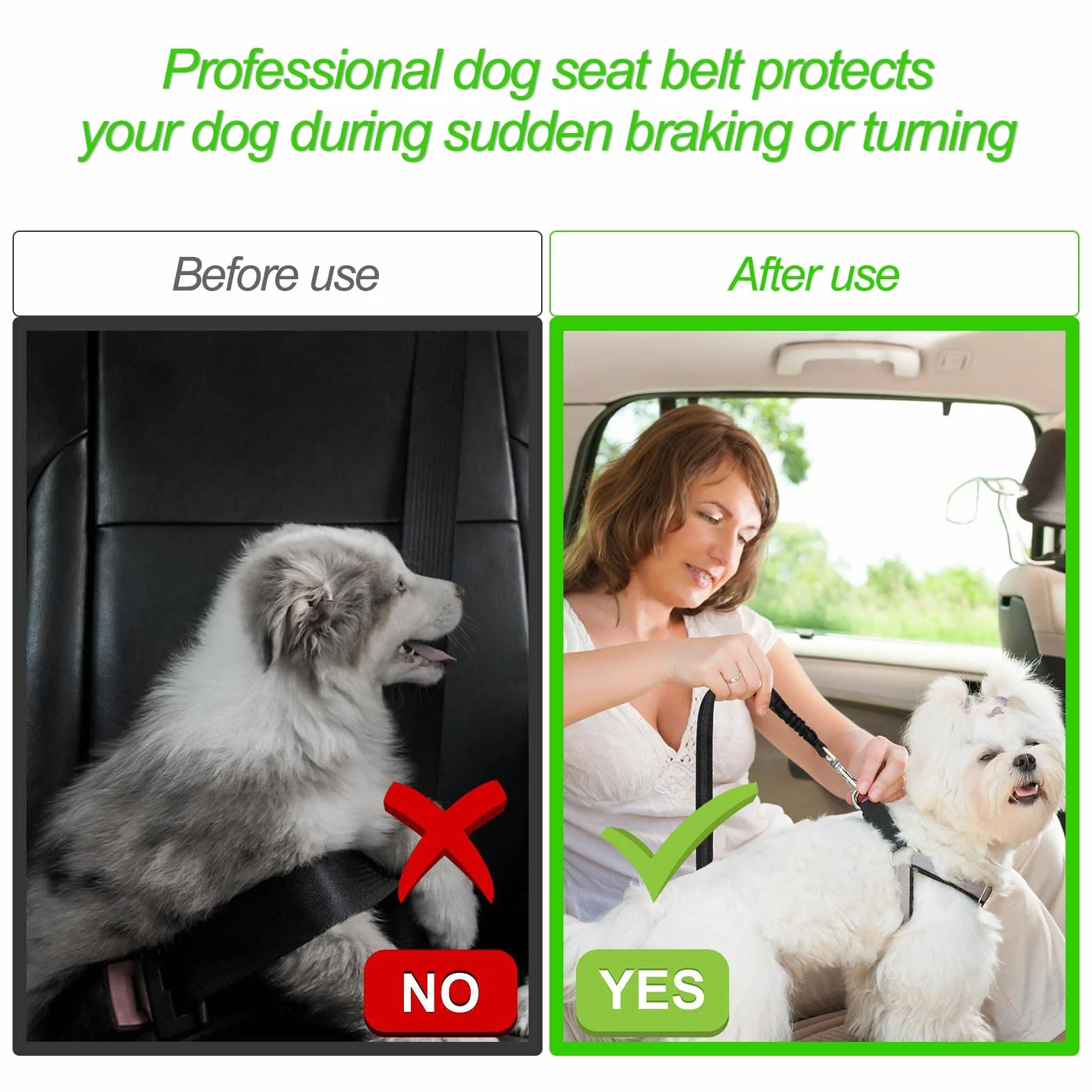 Redamancy Ceinture Securite Chien Voiture Harnais avec Absorption des Chocs Mousqueton