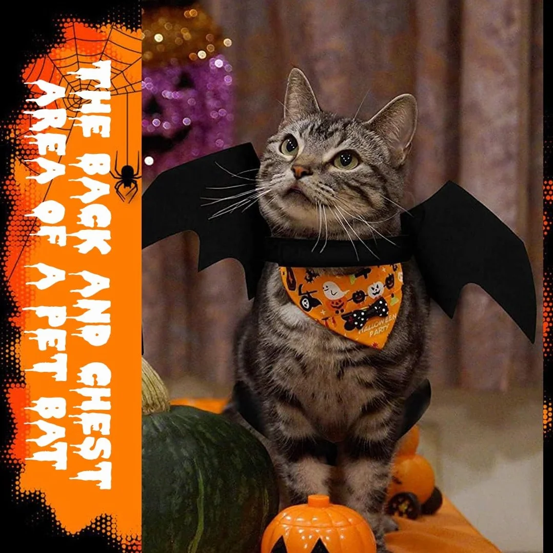 Costume d'Halloween pour Chat avec Ailes de Chauve-Souris