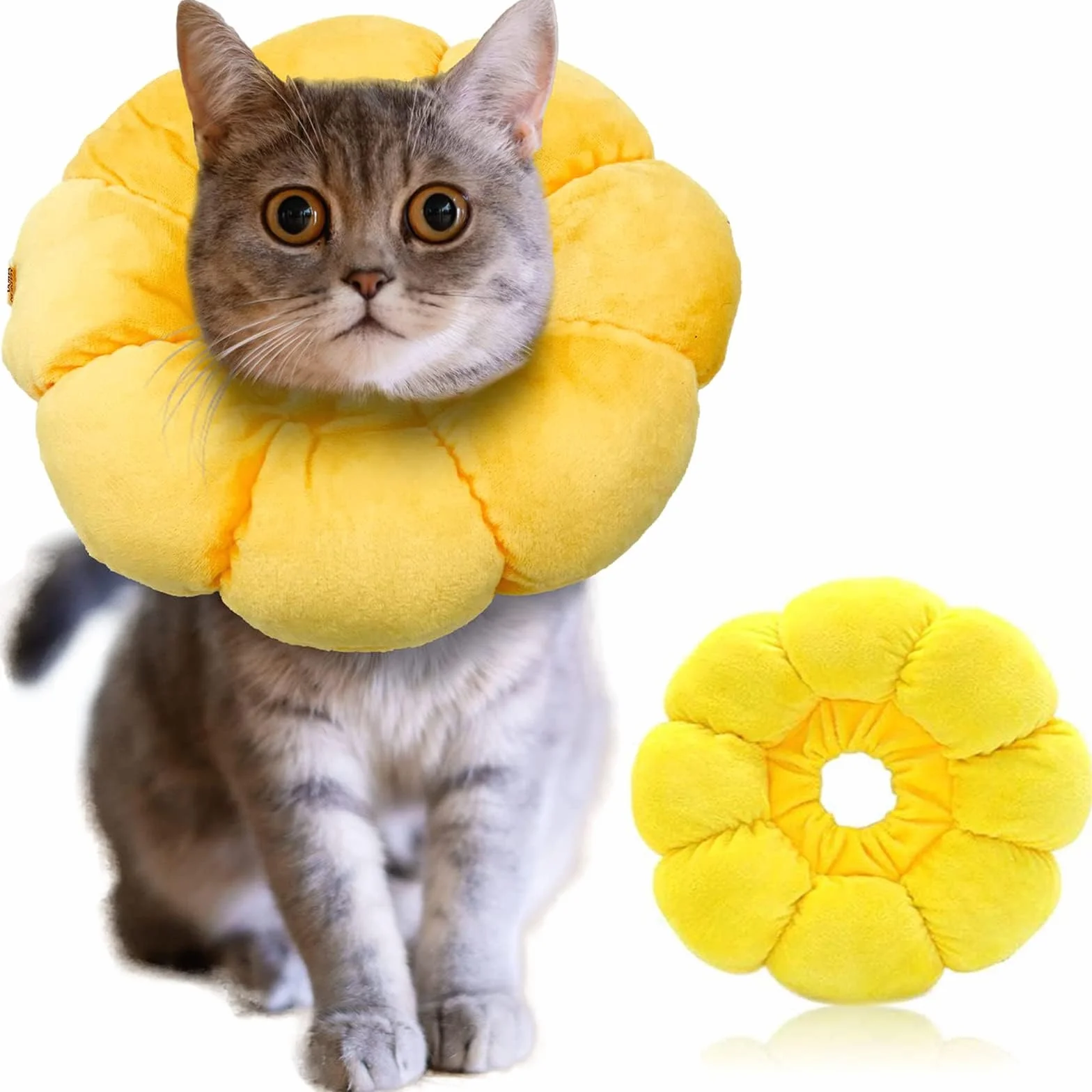 Collerette Réglable pour Chat et Petit Chien Après Opération, Taille L