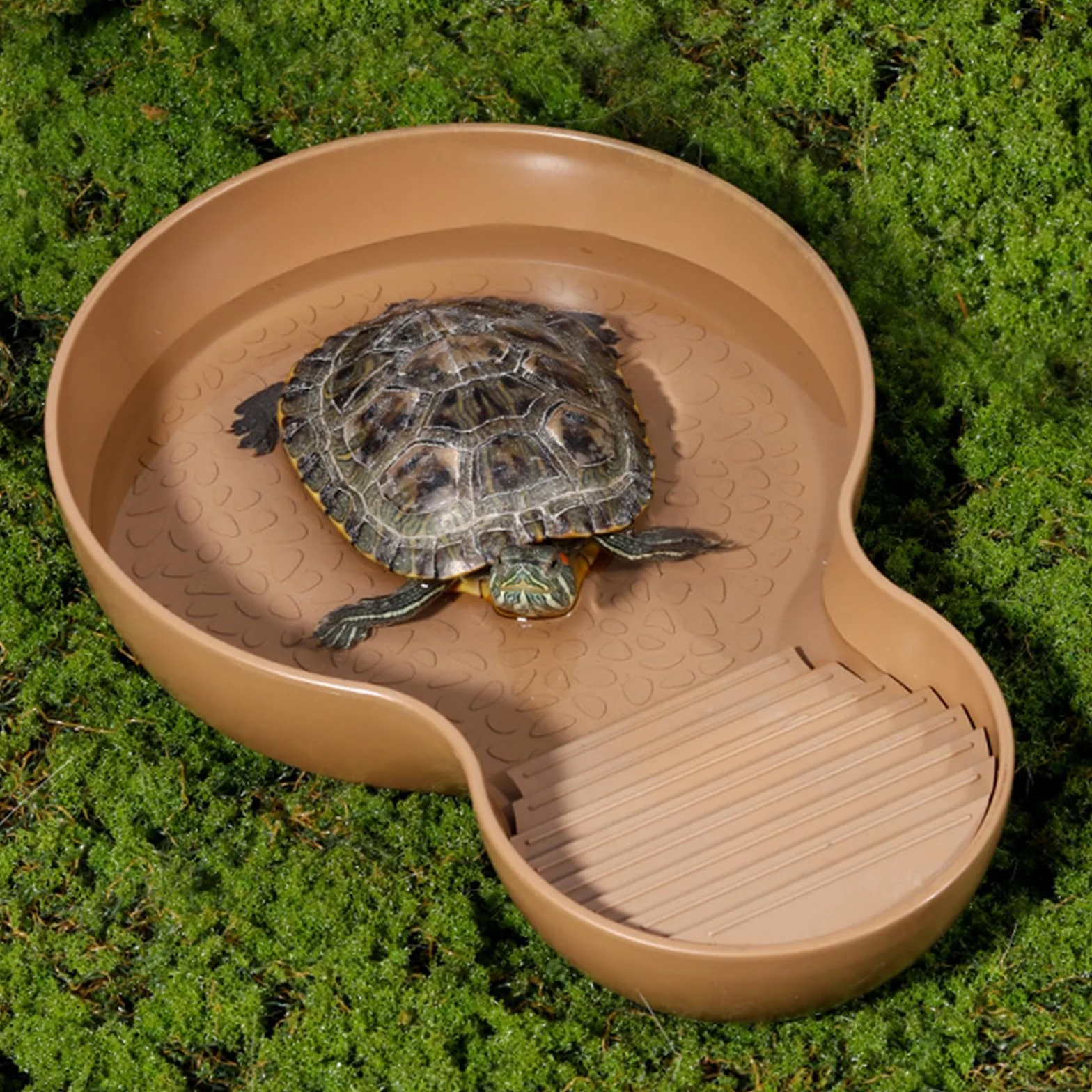 Abreuvoir Tortue Terrestre, Baignoire pour Reptiles avec Rampe, Bol à Eau pour Petites Tortues, Lézard, Amphibien et Autres Petits Reptiles (26,5 × 18 × 4,2 cm)