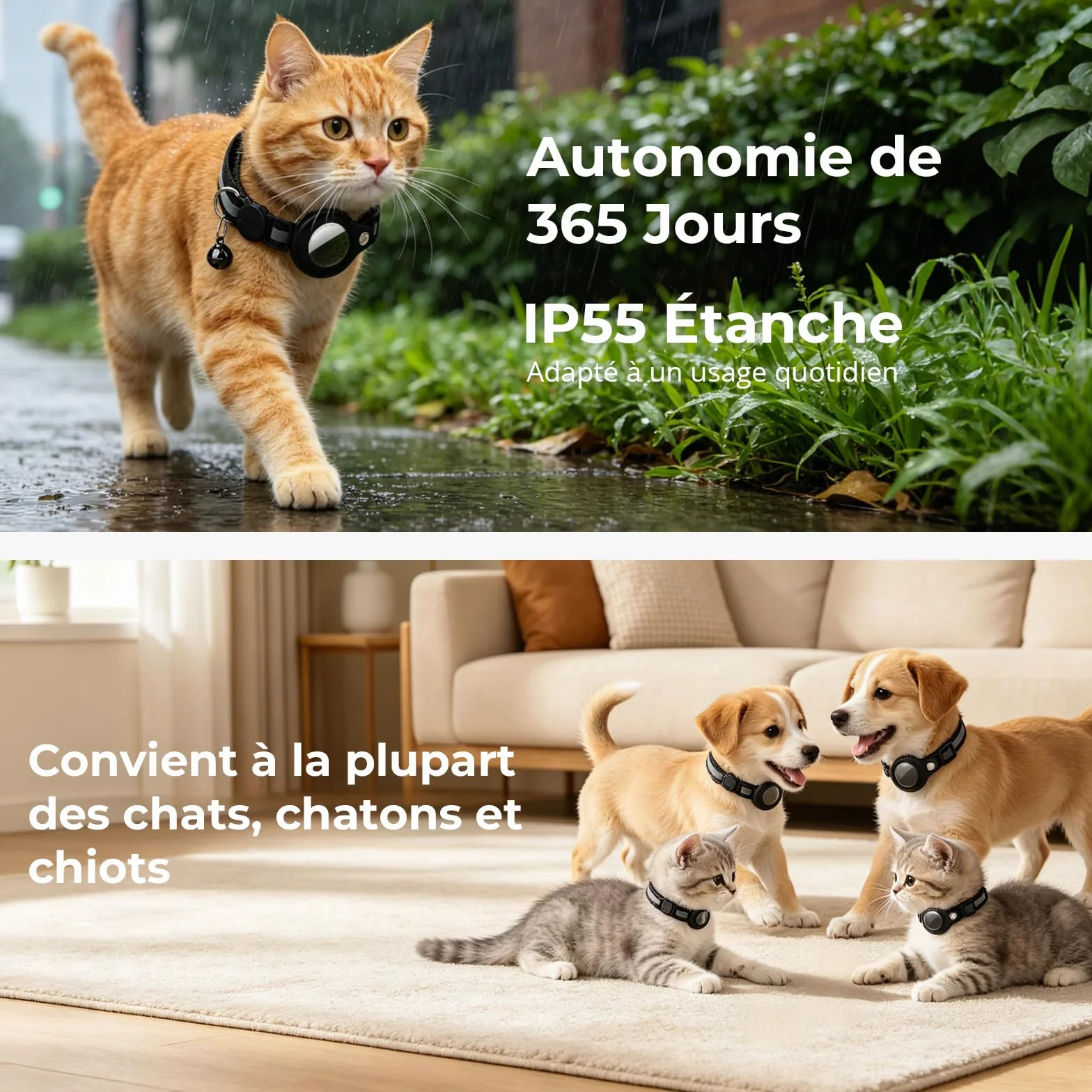 Collier GPS Chat Tracker Bluetooth Localisation sans Abonnement iOS Android Compatible Anti-Étranglement Chaton