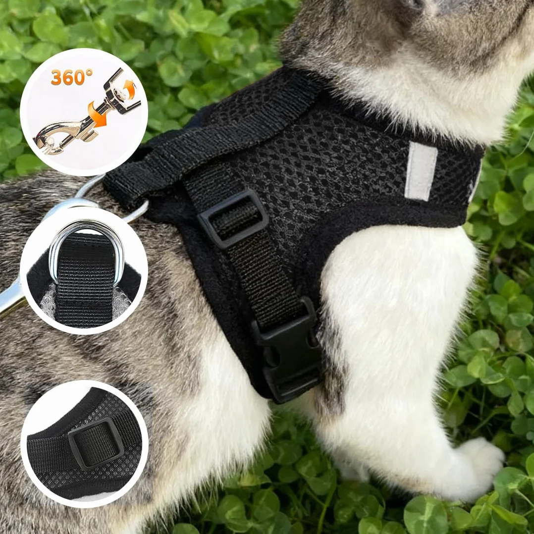 Harnais pour Chat 3 en 1 avec Laisse et Ceinture de Sécurité, Ajustable 42-56cm, pour Petit Chat 4-6kg