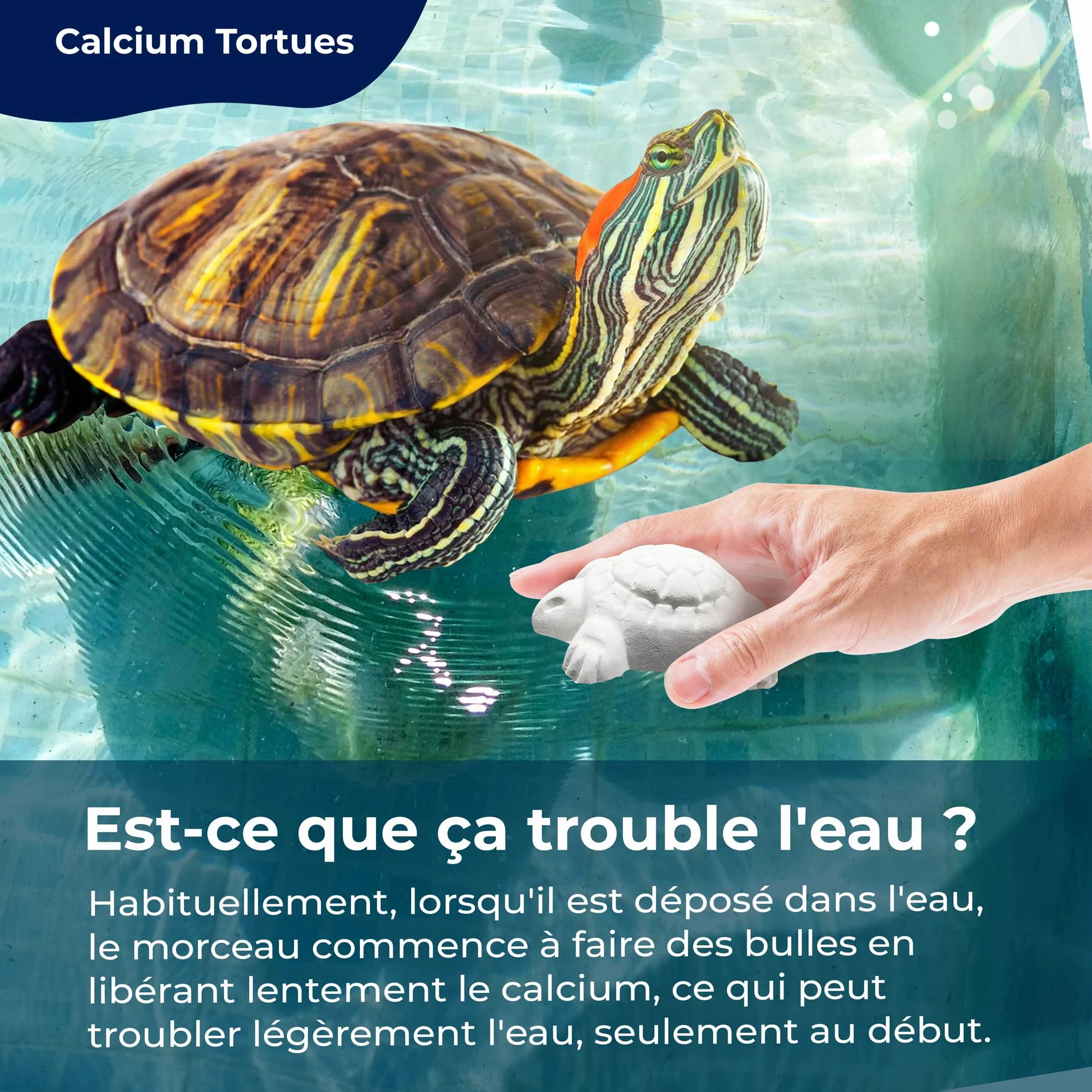 AF® Os de Seiche Tortue Alternatif, Pack 4 Pièces Calcium Tortue Terrestre et Aquatique, Bloc Minéral Libération Lente, Carapace Forte et Eau Propre, Formule Vitaminée Naturelle