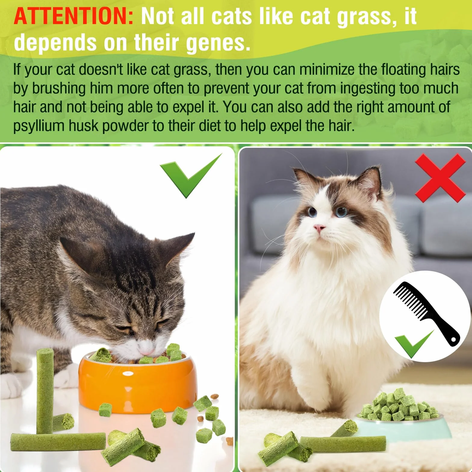 120g Collations pour Chats Herbe à Chat, Gâterie Lyophilisée pour Nettoyage des Dents