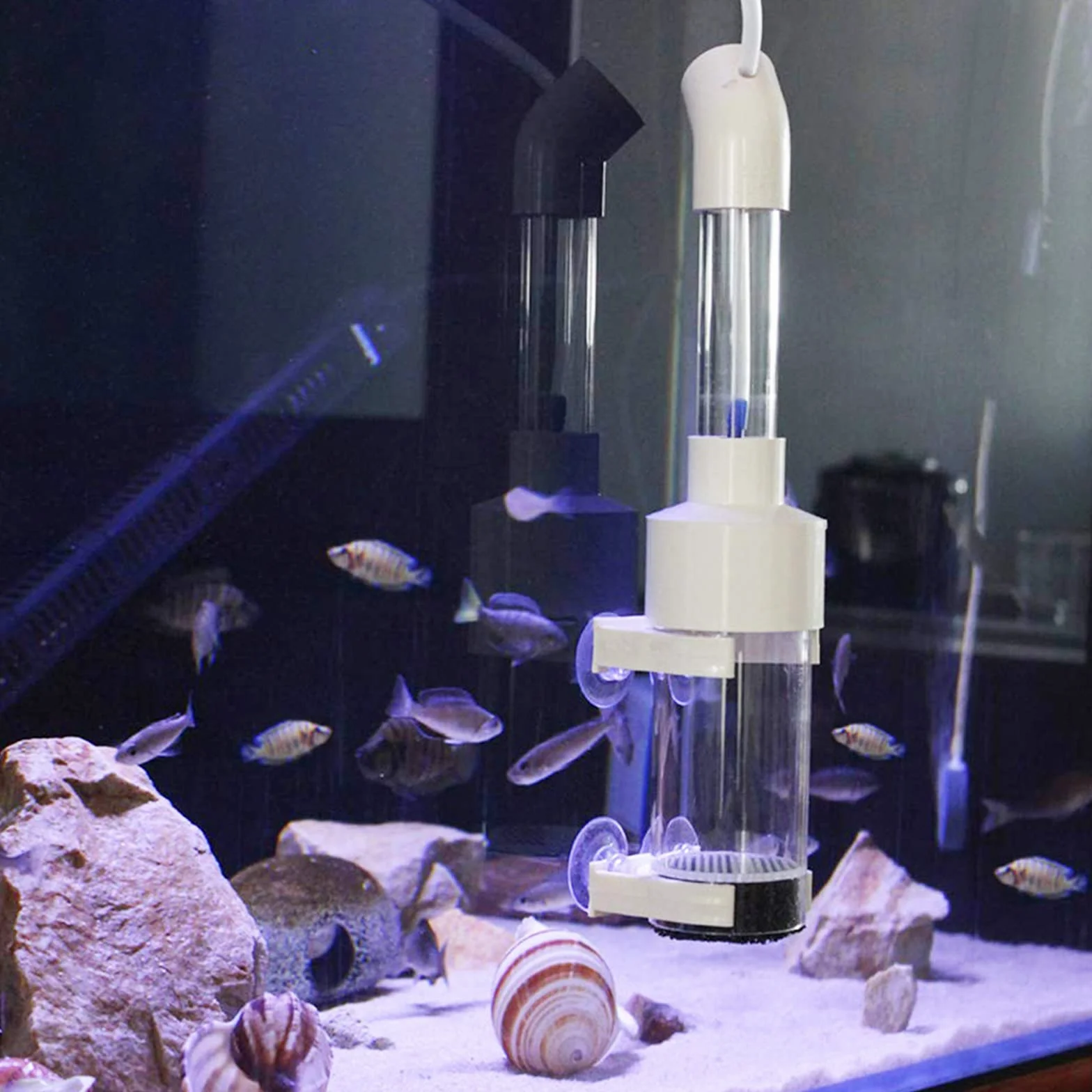 WEAVERBIRD Cichliden Incubateur pour aquarium 40 mm