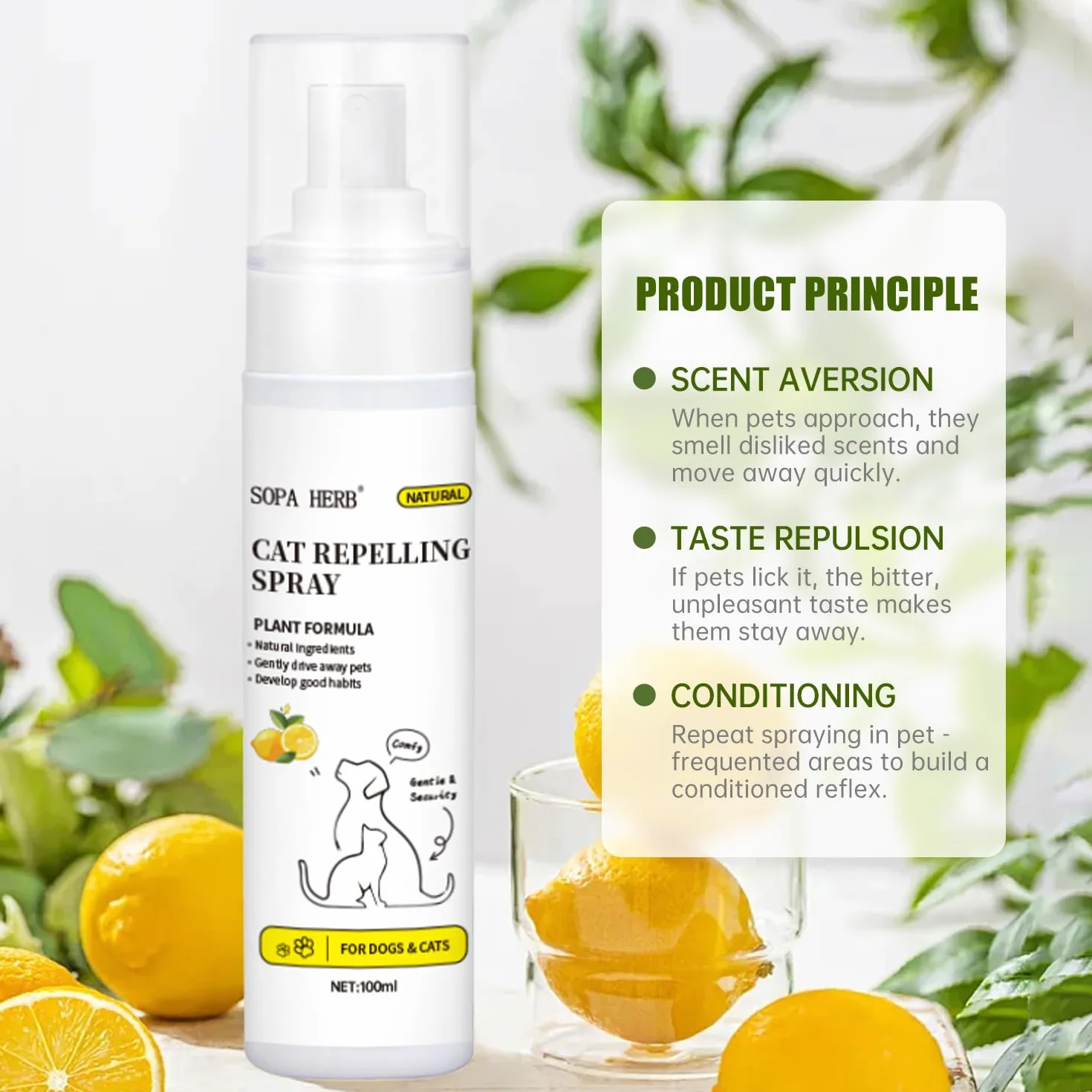 Sopa Herb Spray Répulsif pour Chats 100ml, Protection Intérieure et Extérieure, Parfum Frais d'Orange