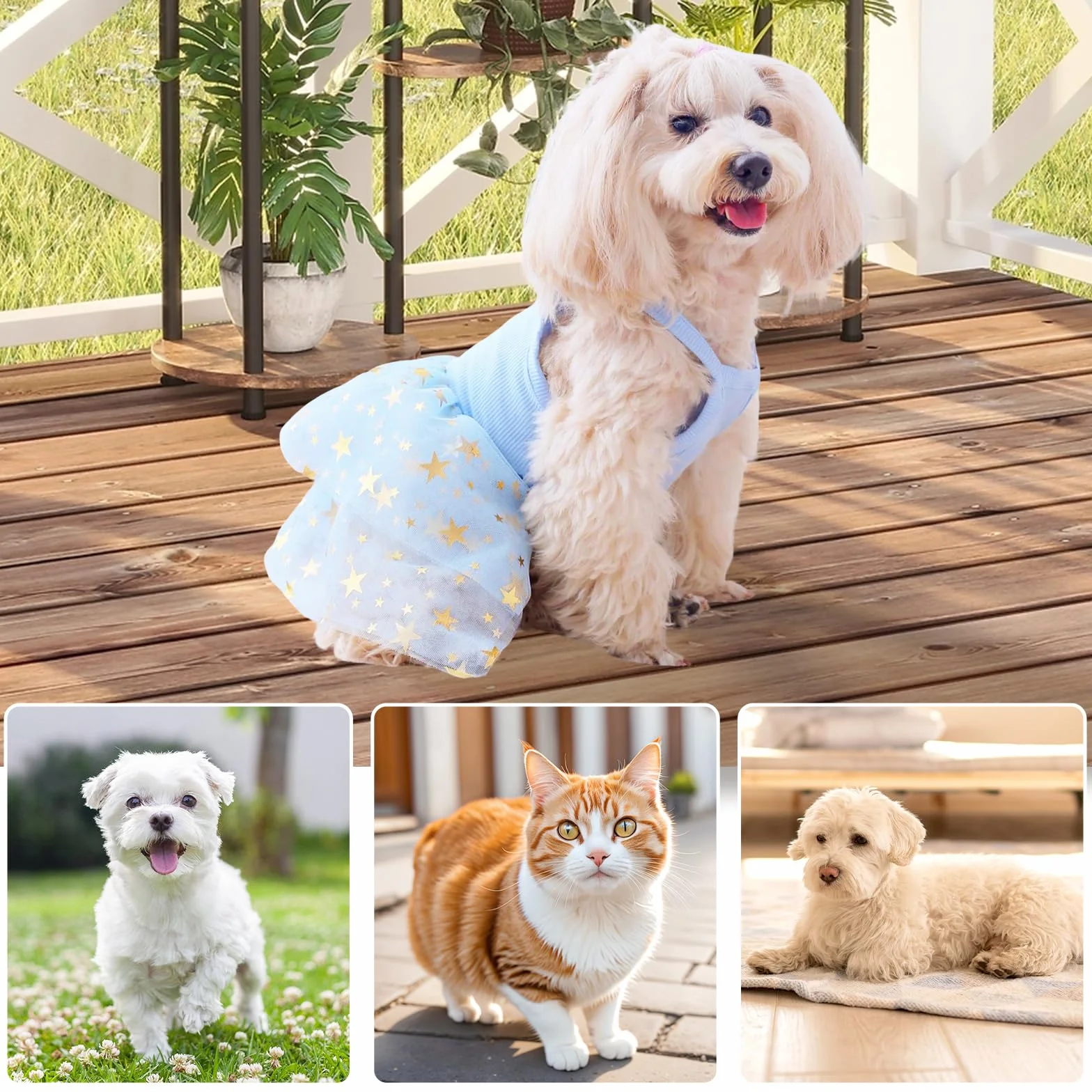 Robe tutu d'été en tulle pour chien et chat taille M bleu