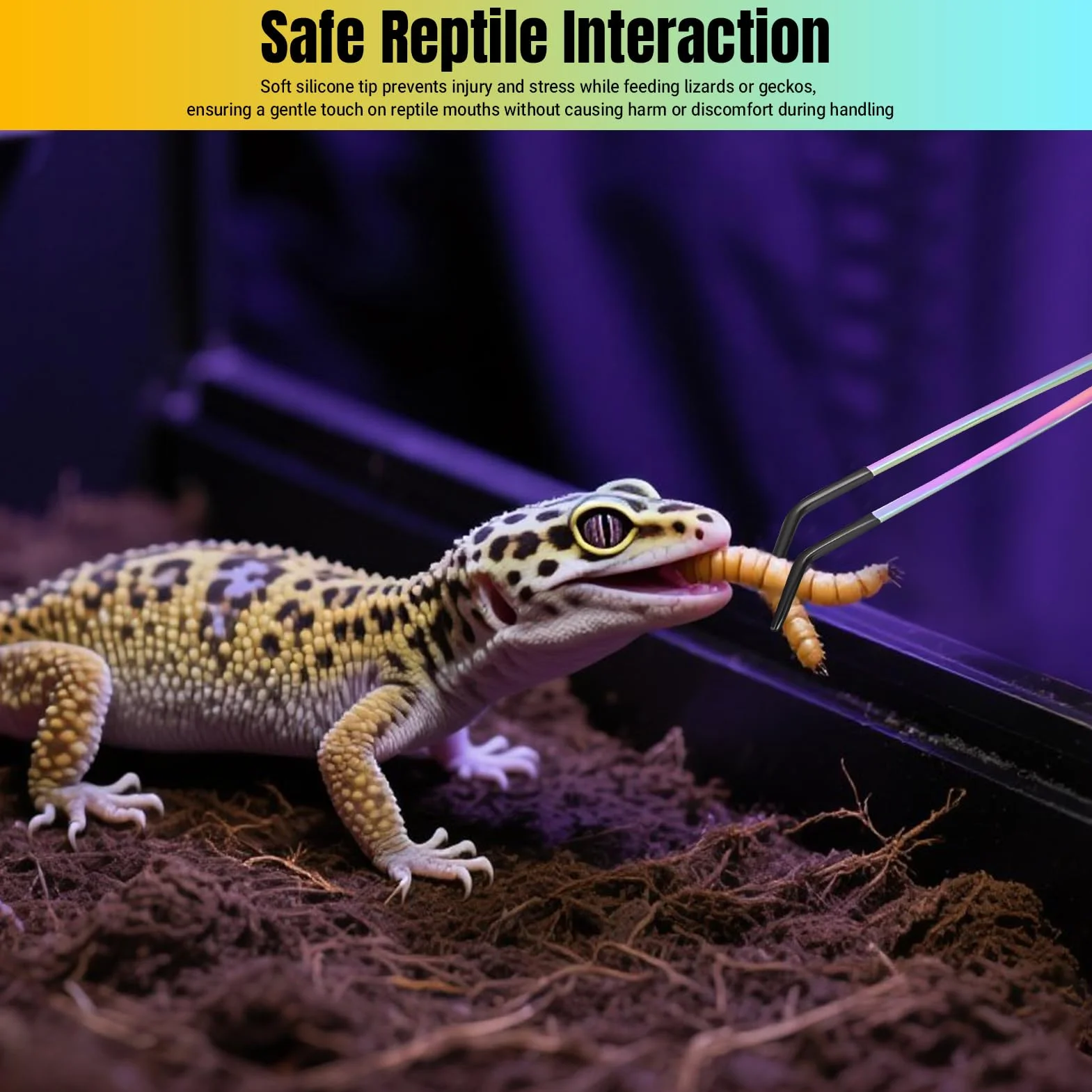 Pince à épiler longue droite incurvée antidérapante silicone pour serpent lézard reptile tarentule grenouille insecte