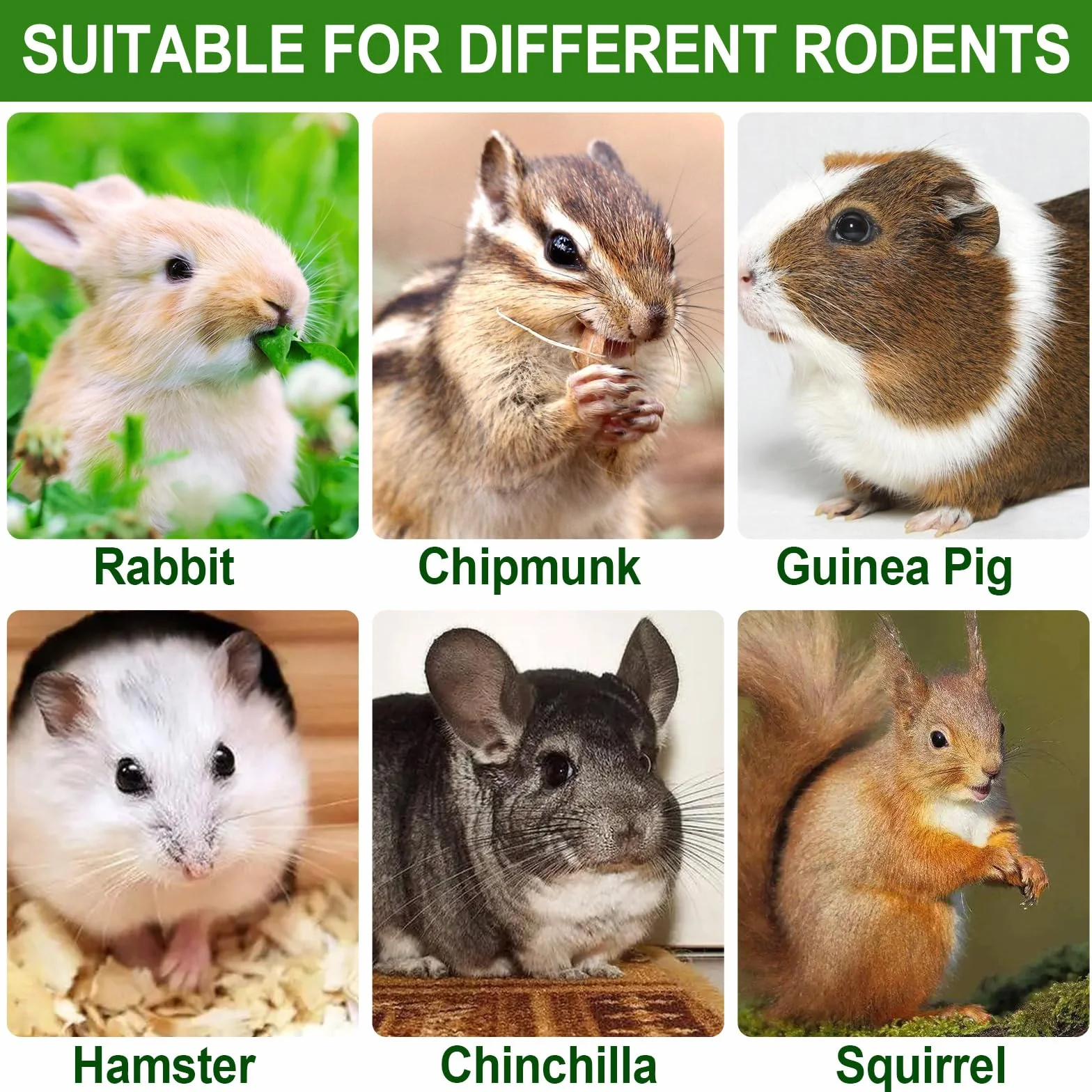 Foin de Fléole des Prés Naturel pour Cochons d'Inde, Chinchilla, Hamsters, Lapin - Jouets à Mâcher 30 Pièces