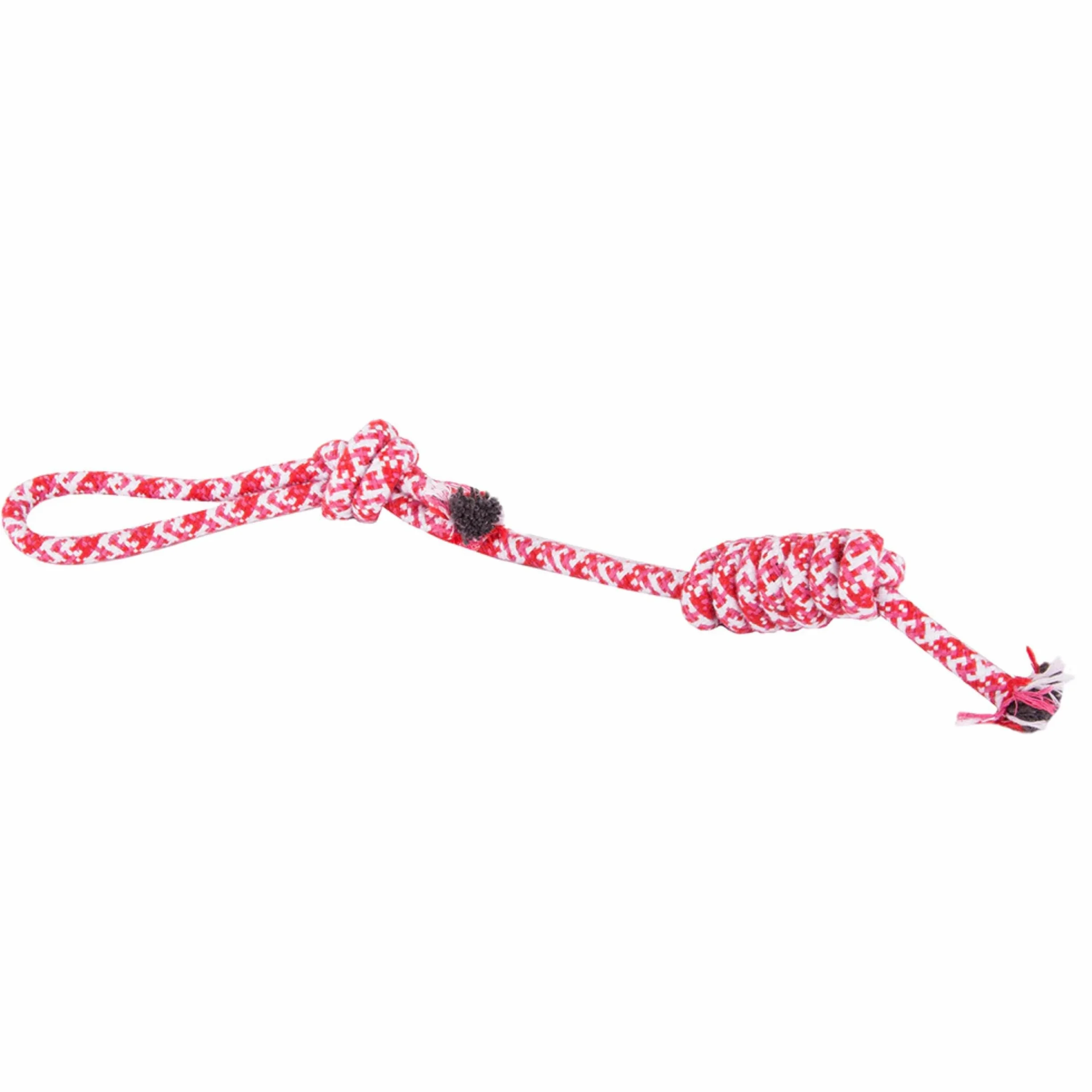 PARENCE Jouet Corde Tressée pour Chien 40 cm Ultra Résistant Poignée 10 cm