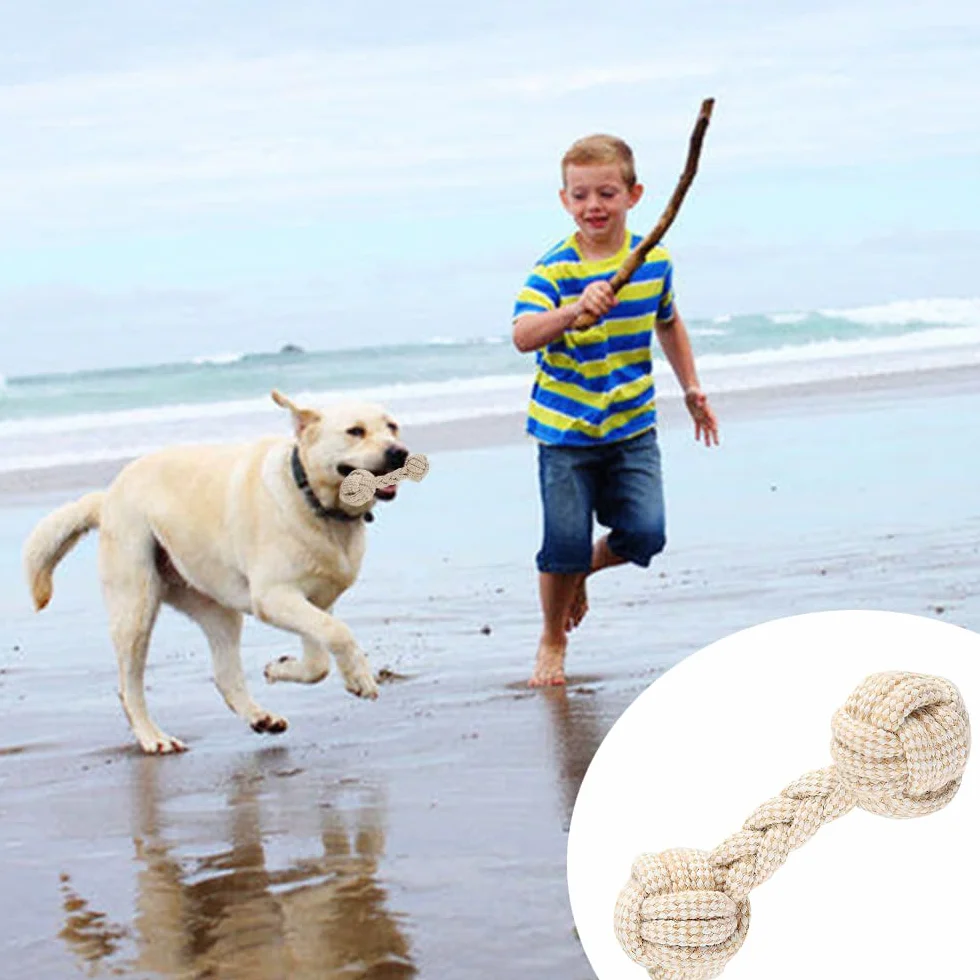 Jouet Chien avec Corde 4 Pcs Balle pour Chiots Doux Matériaux Durables Naturels Non Toxiques