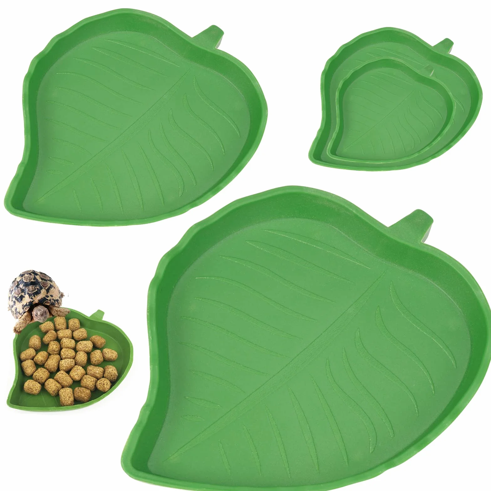 Bol d'Alimentation Reptiles Accessoires Tortues Bol à Boire Maison Bol d'Eau Lézards Hamsters