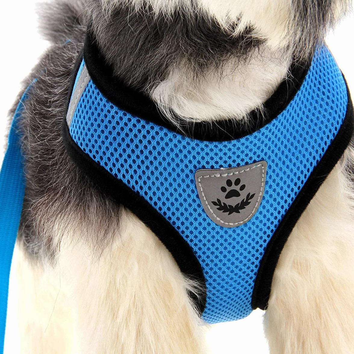 Harnais S Bleu aéré pour chat chiot laisse offerte même couleur LIFE UTILITY petit animal anti-traction réglable 4 tailles 5 couleurs