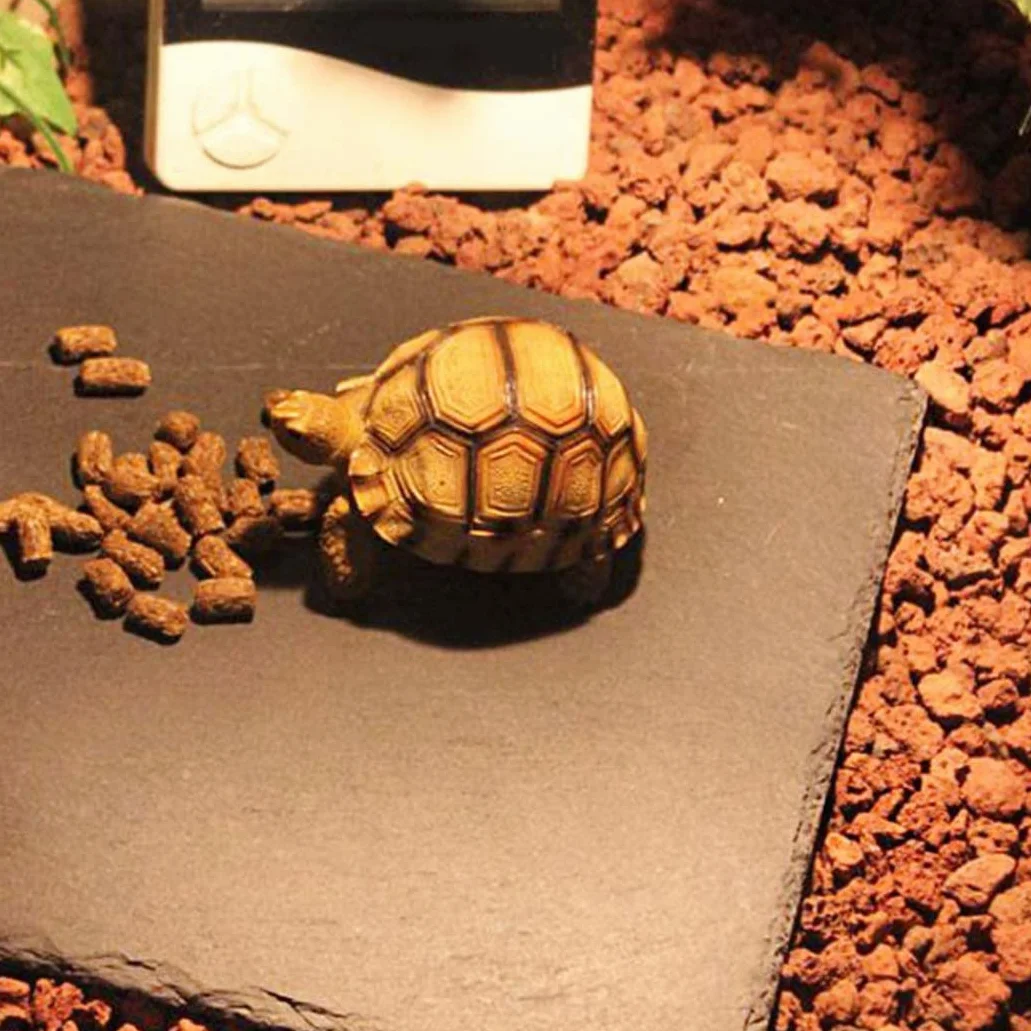 Plaque de roche tortue, plate-forme de selsification des reptiles, rocher Habitat Reptile Habitat Aquarium, plat de nourriture pour le reptile pour la tortue de dragon barbu en lézard (noir / s)