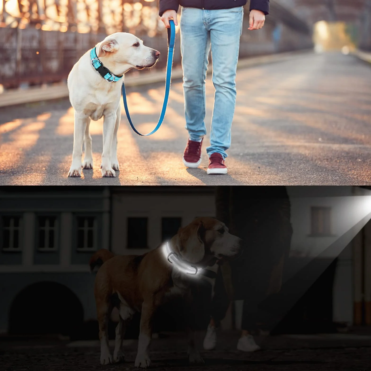 Collier pour Chien Réfléchissant Réglable Nylon avec Étui AirTag pour Petits Chiens, Bleu-S