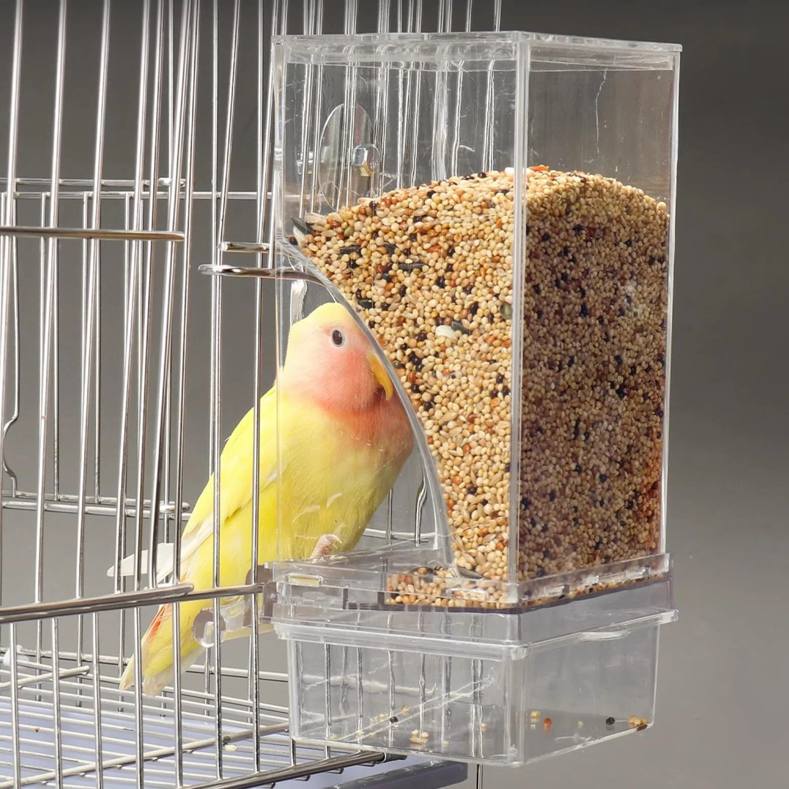 Mangeoire Automatique pour Oiseaux Transparent avec Bac de Récupération des Graines