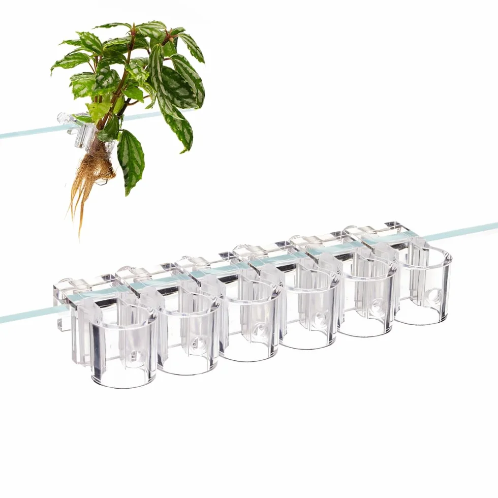 Support pour Plantes d'Aquarium 6 Pots Réutilisables Suspendre 10-15 mm