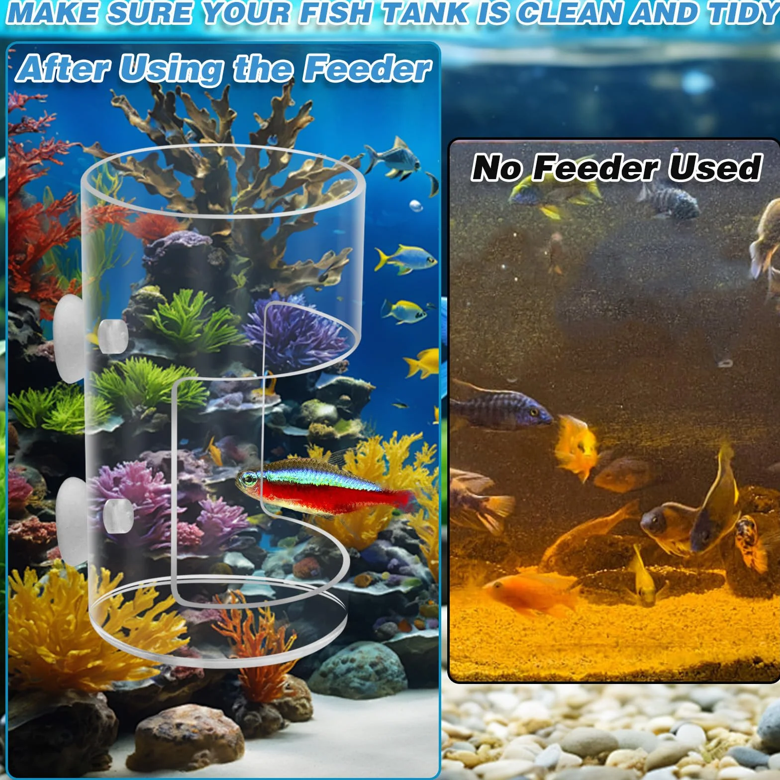 Lot de 2 mangeoires Rondes pour Poissons d'aquarium avec Ventouse, Tube d'alimentation, séparateur de réservoir, boîte d'élevage, Bols à Poissons, Accessoires pour Tortues et crevettes