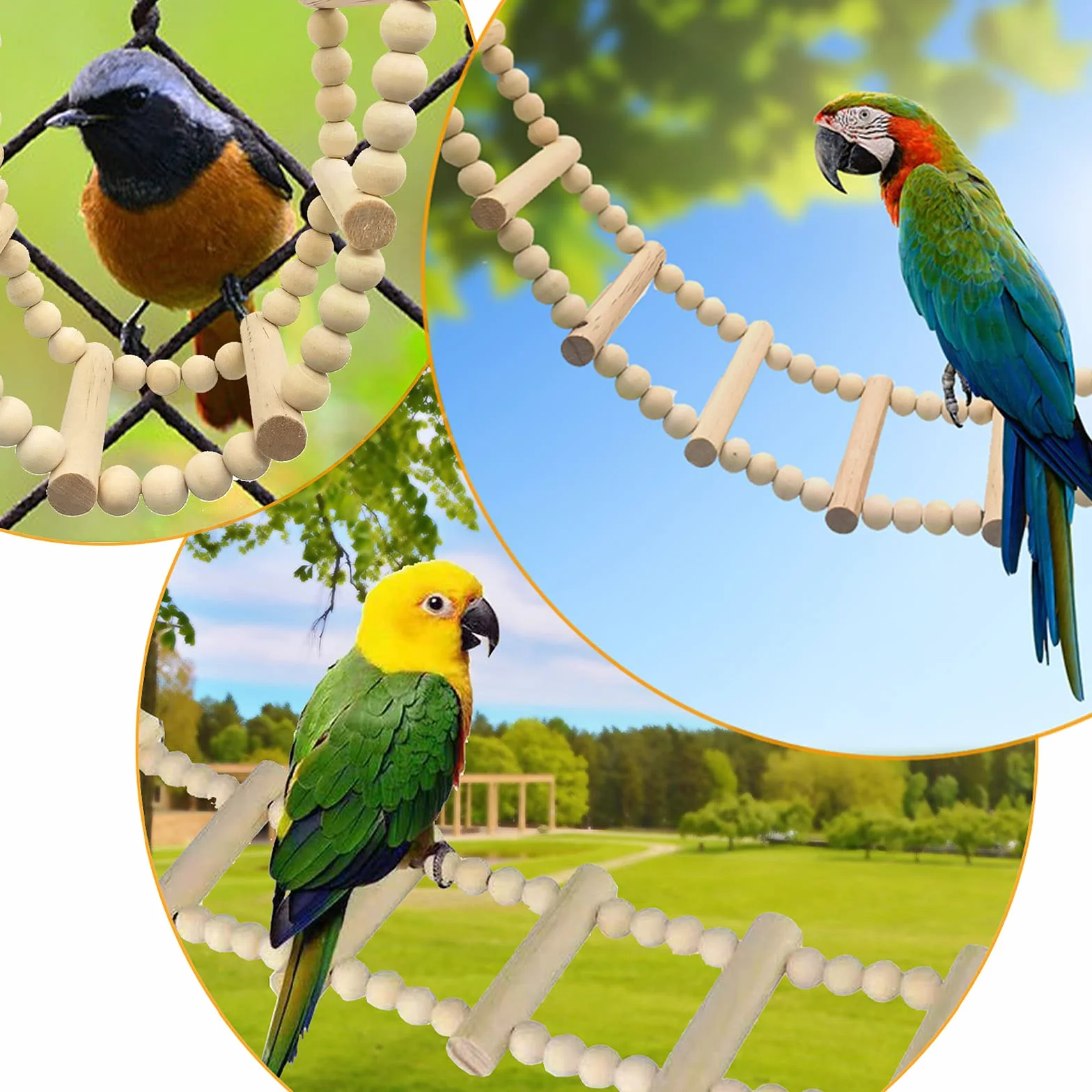 Échelle en Bois pour Oiseaux, Pont Balançoire pour Perruches et Perroquets, Jouet d'escalade pour Petits Animaux