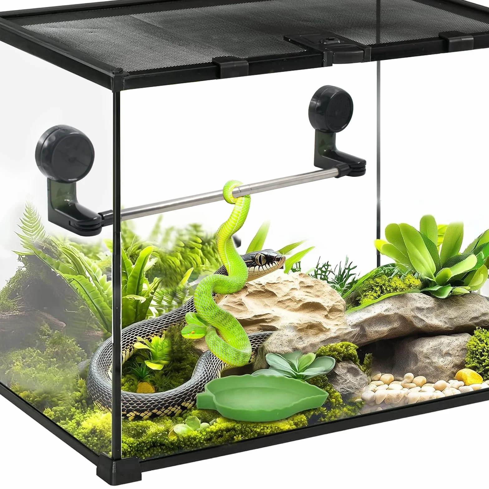 Poteau d'escalade pour Reptiles avec Ventouse Rétractable 30-60 cm pour Serpent, Lézards, Dragons Barbus