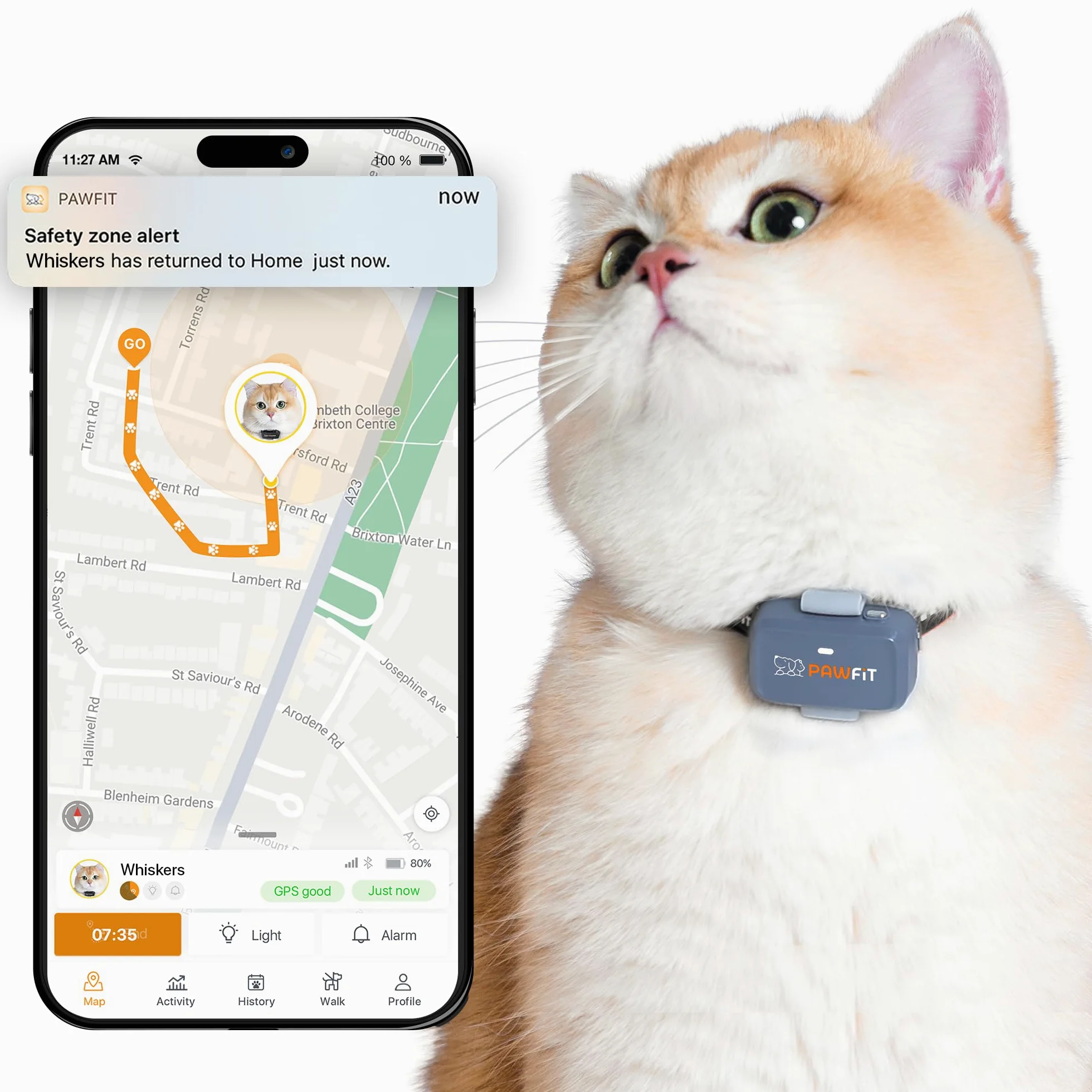 Pawfit Lite 4G Traqueur GPS pour chat, suivi en direct, ultra léger, gris lilas