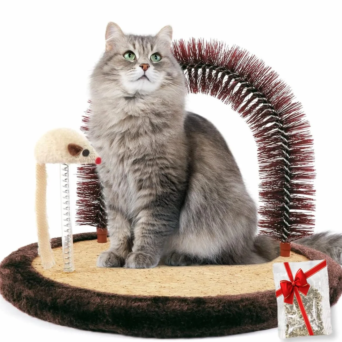 Happi N Pets Brosse à Poils pour Chat avec Grattoir Robuste et Herbe à Chat