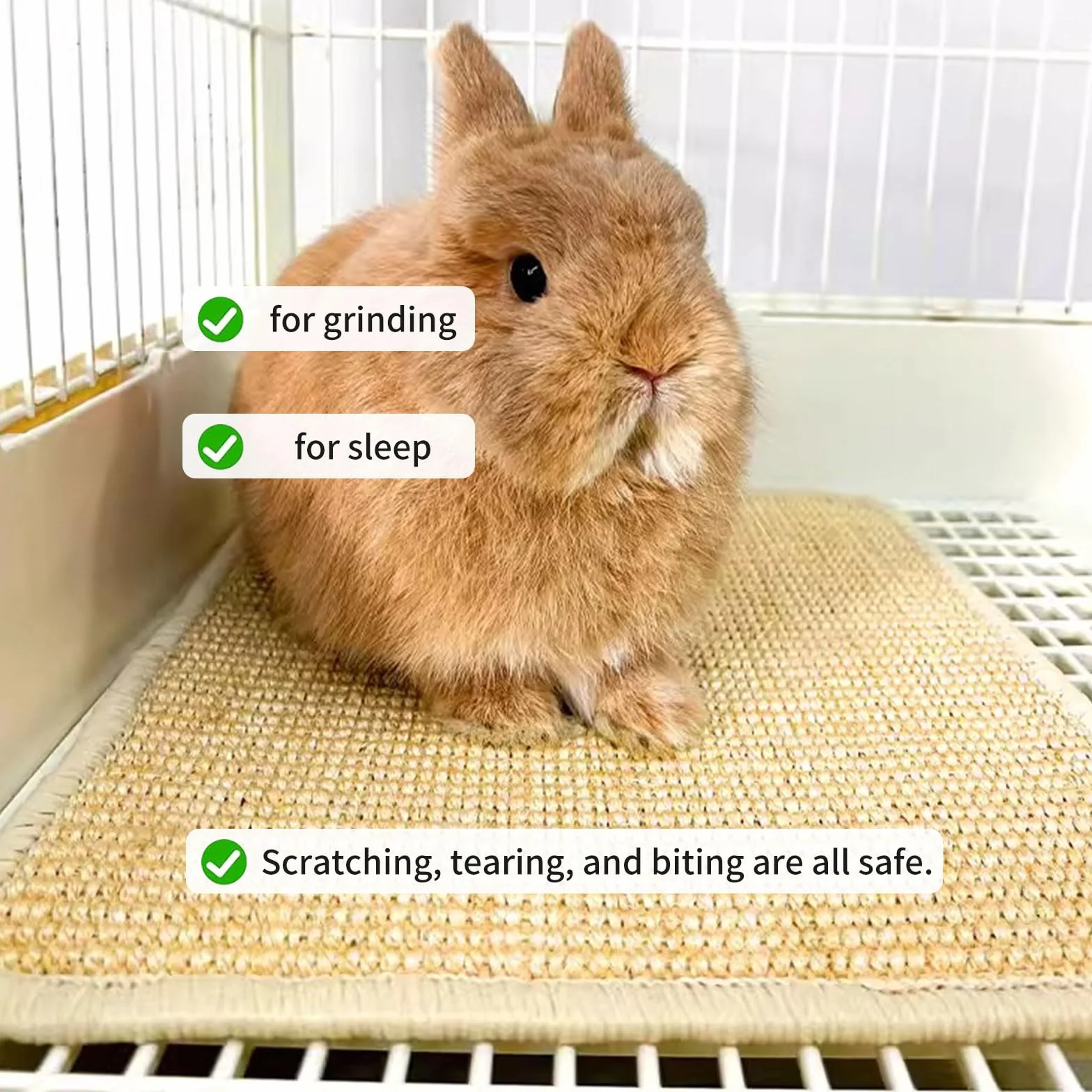 Tapis à gratter naturels pour lapin, soin des griffes, jouet à mâcher pour cage, lot de 2