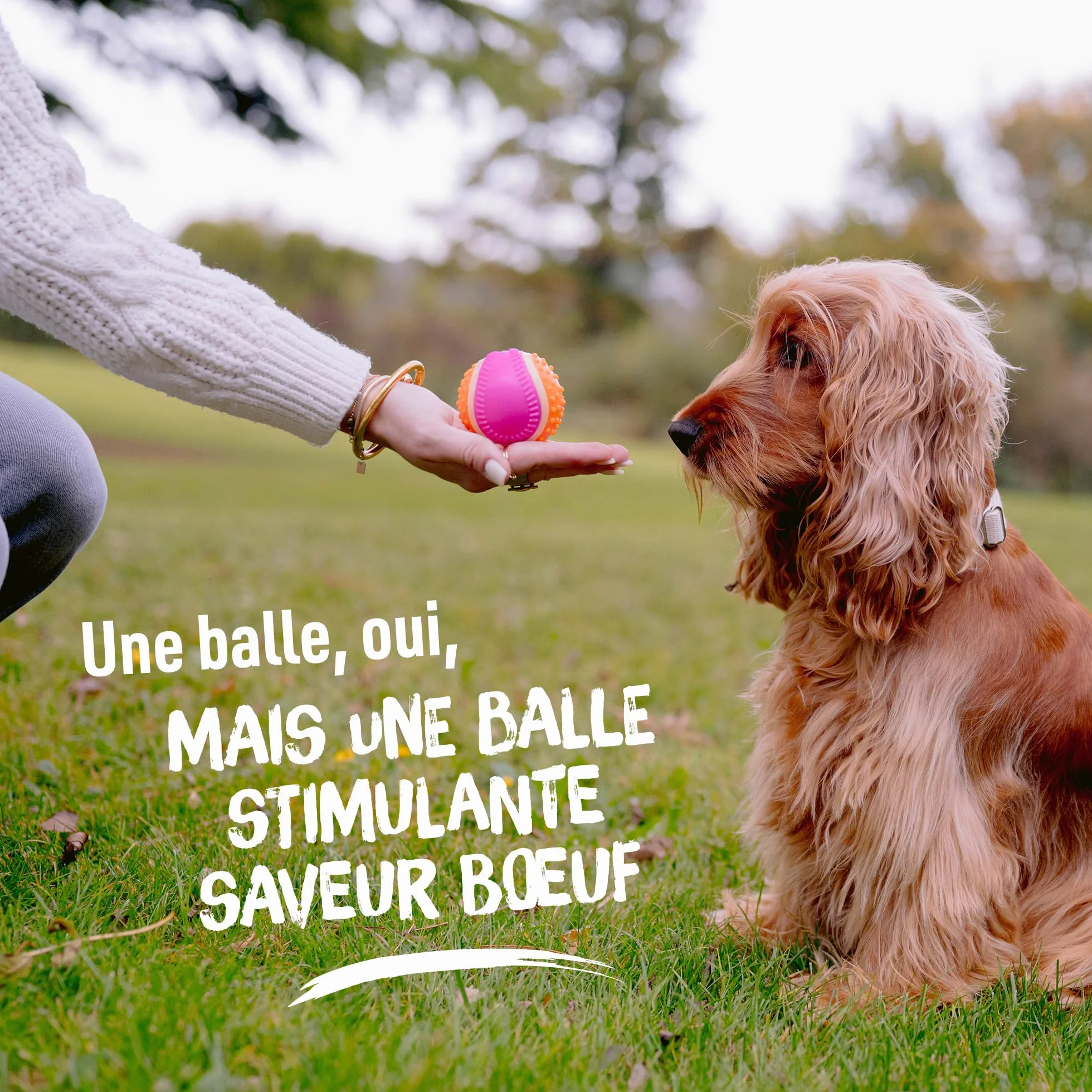 Aimé Balle pour Chien 5 en 1 Saveur Bœuf Jouet Interactif Éducatif 6 cm