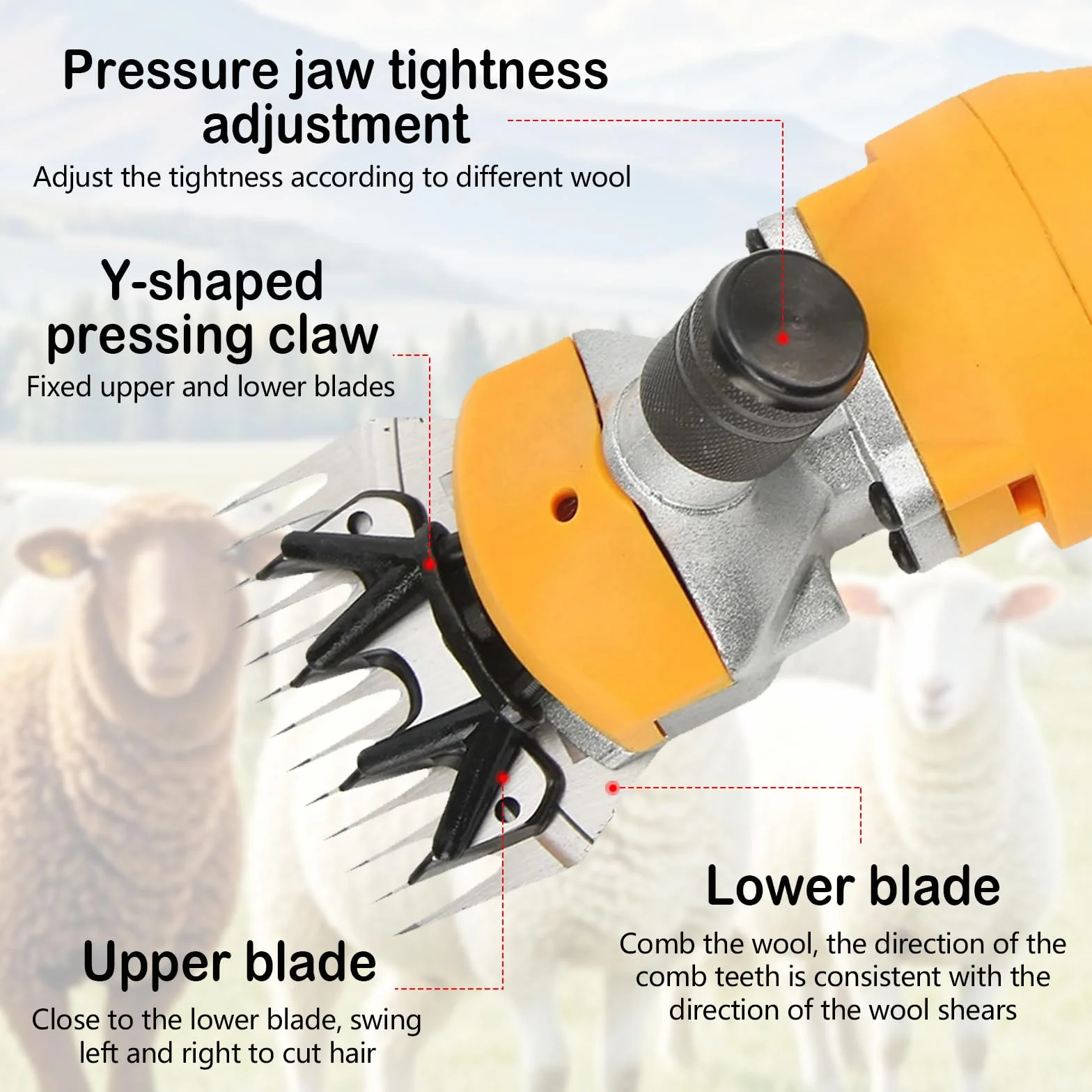 Tondeuse à Moutons 1000W Électrique, 13 Dents 2400 Tr/min, Cordon 2.8m pour Moutons Chèvres Alpagas