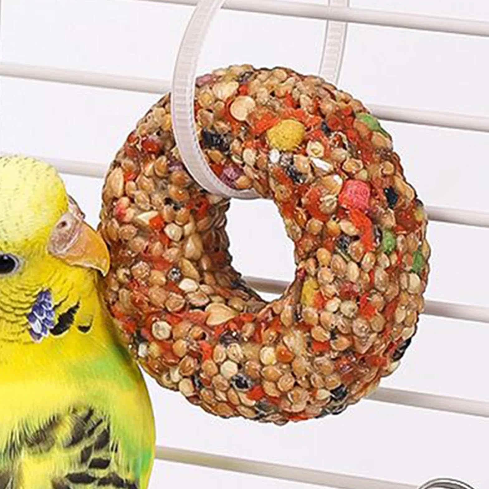 Friandises pour Calopsittes Anneau à Mâcher en Grains Forme de Donut pour Perroquets