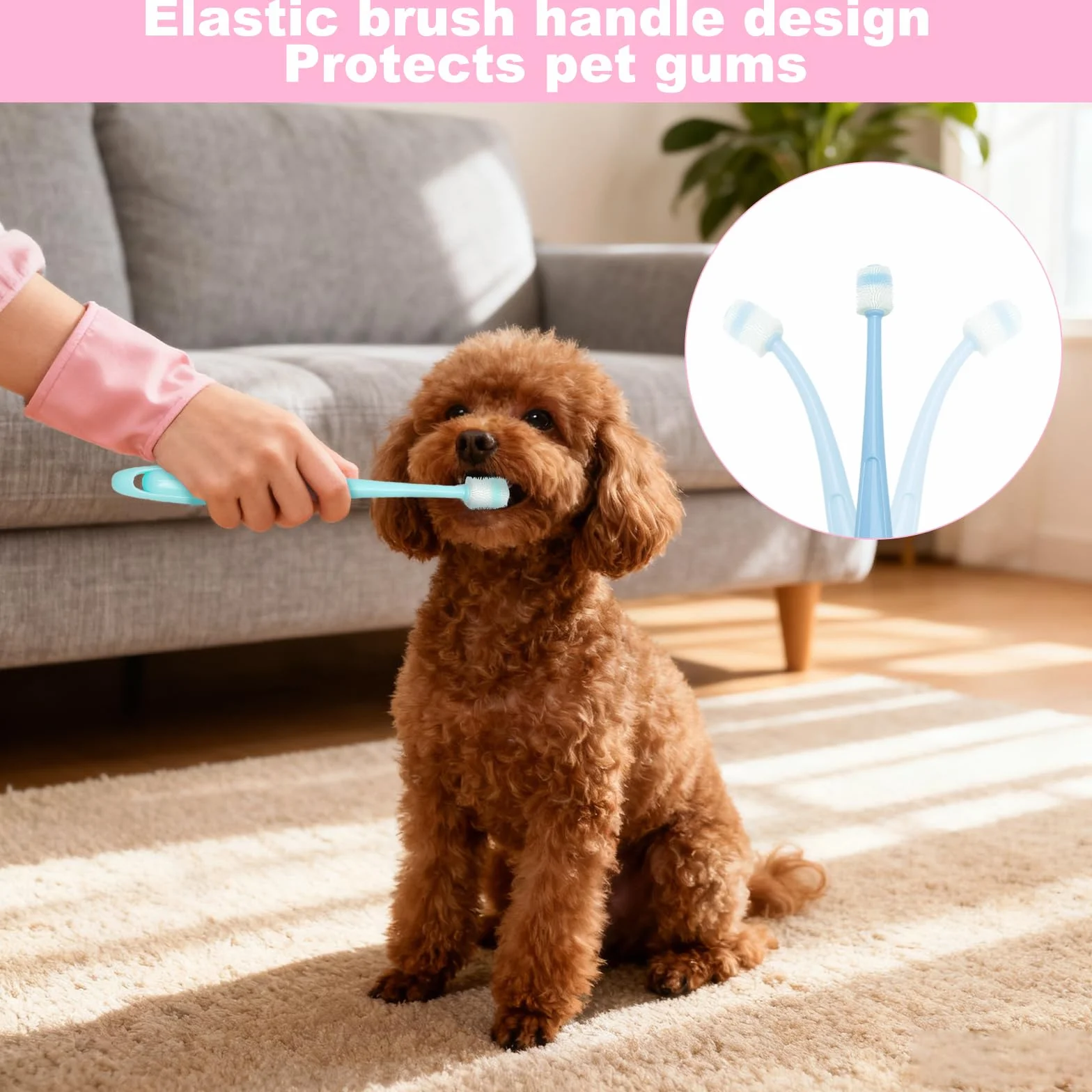 Lot de 3 Brosses à Dents pour Chat + 2 Brosses à 360° en Silicone Souple Réutilisable - Rose, Bleu, Vert