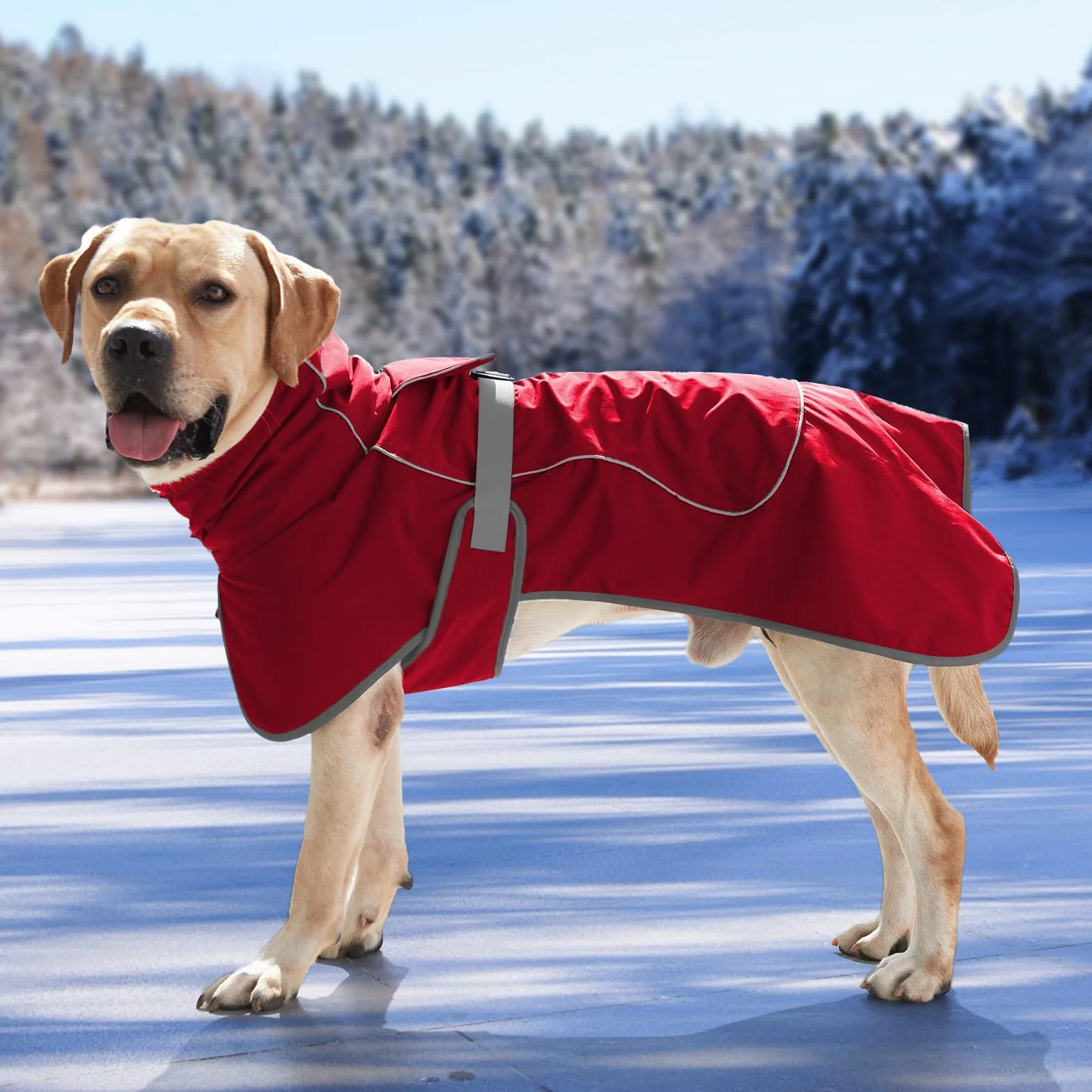 HEYWEAN Manteau Imperméable Réfléchissant pour Chien avec Doublure Polaire