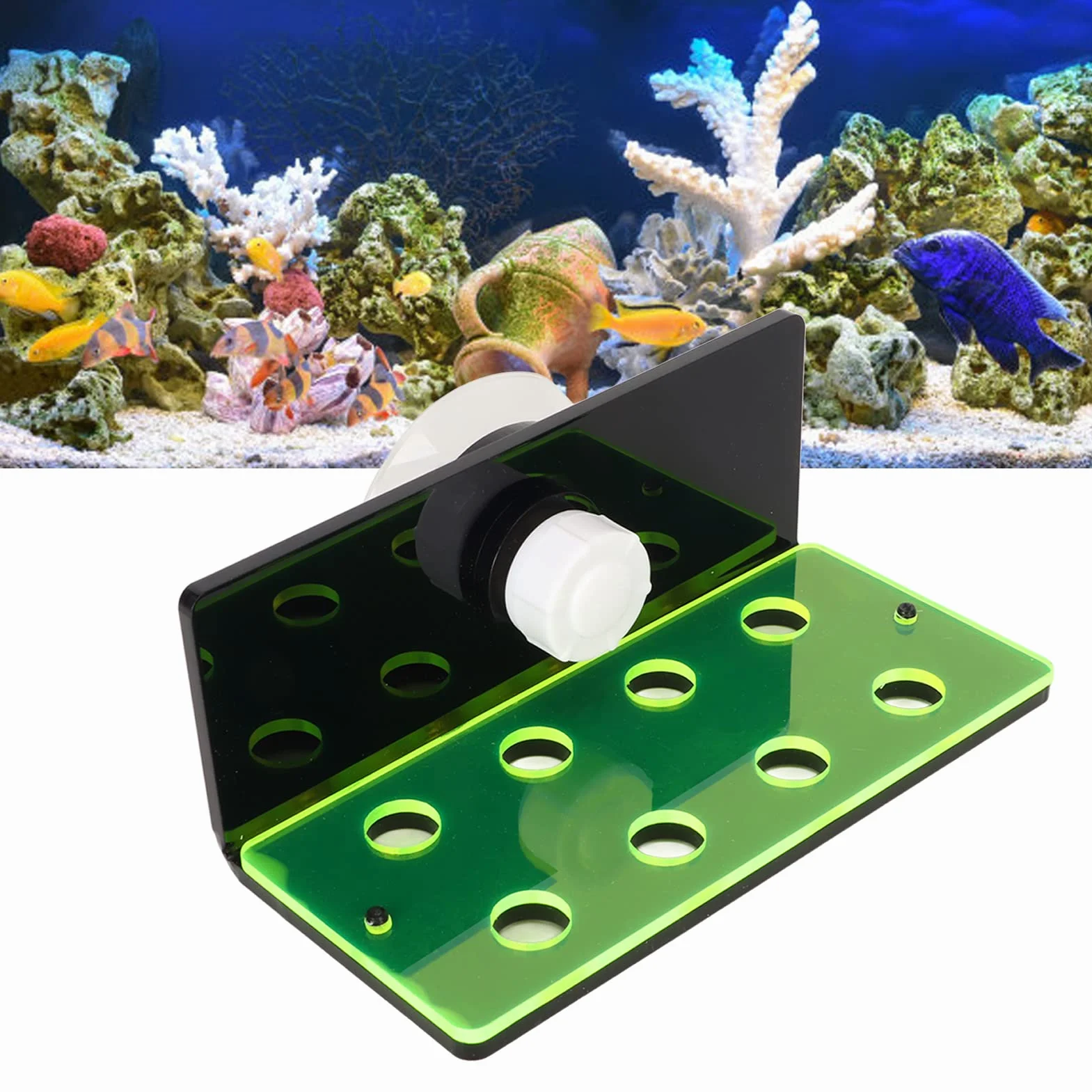 Frag Rack 6 Trous Fluorescent Green Frag Holder Acrylique Aquarium Racks avec Ventouse pour Coraux Vivants