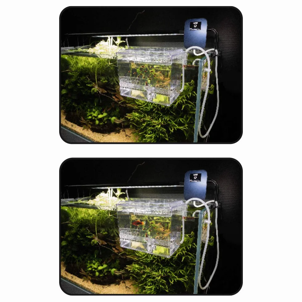 WAVE Salle d'Accouchement pour Aquariophilie Taille L