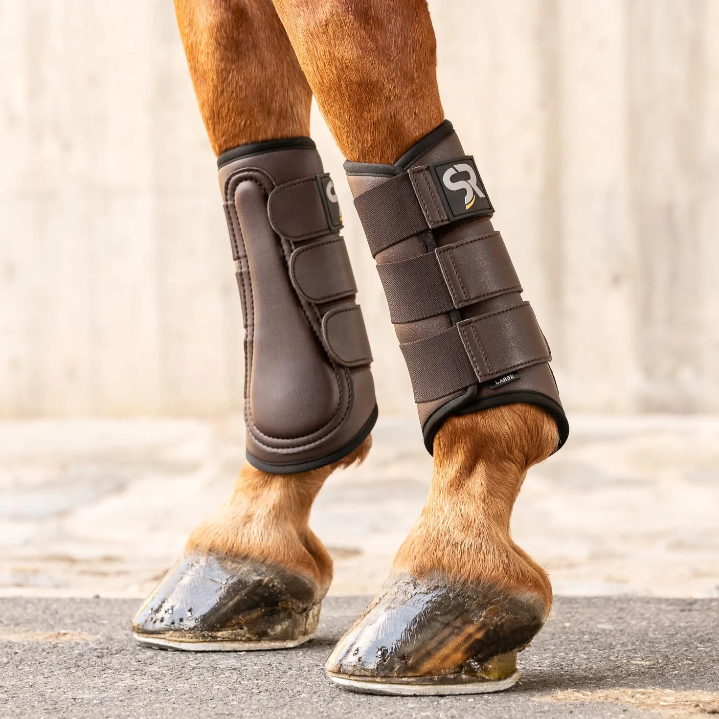 SUNRIDE guêtres de Dressage pour Chevaux Set de 2 Cuir véritable néoprène Protection blessures M 28 cm Marron