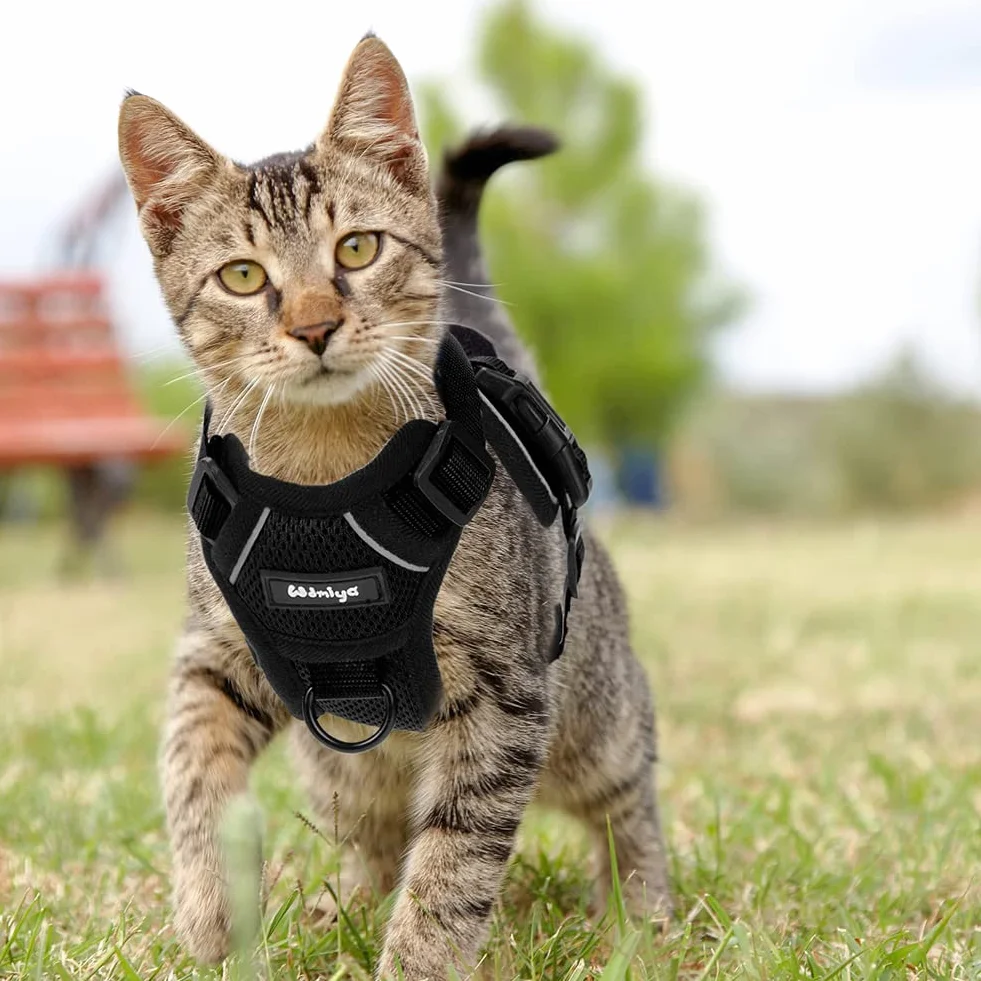 Harnais Réglable Réfléchissant Respirant pour Chien Chaton Lapin Anti-évasion XS Noir