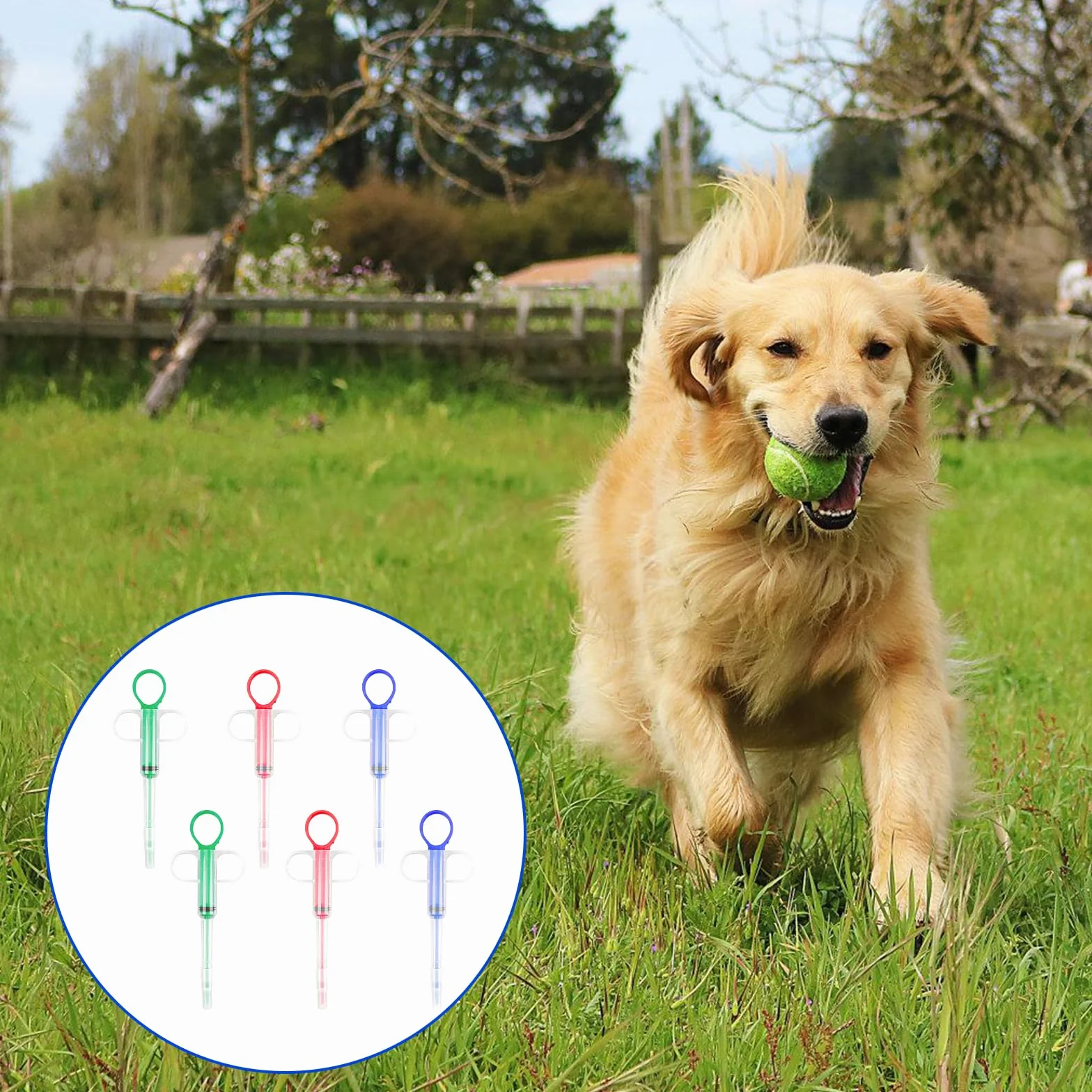 Seringue pour Comprimé Animaux Réutilisable Lance Pilule pour Chat Chien 6 Pièces (Bleu, Vert, Rouge)