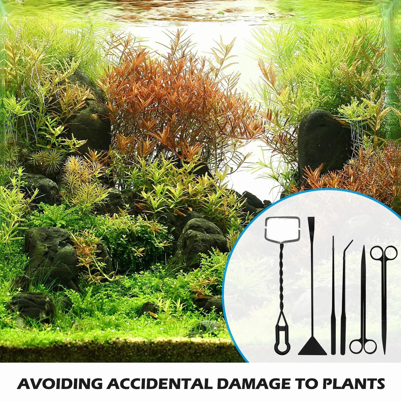 Aquarium Aquascaping Kit 6 Pièces Acier Inoxydable Outils Plante Aquatique