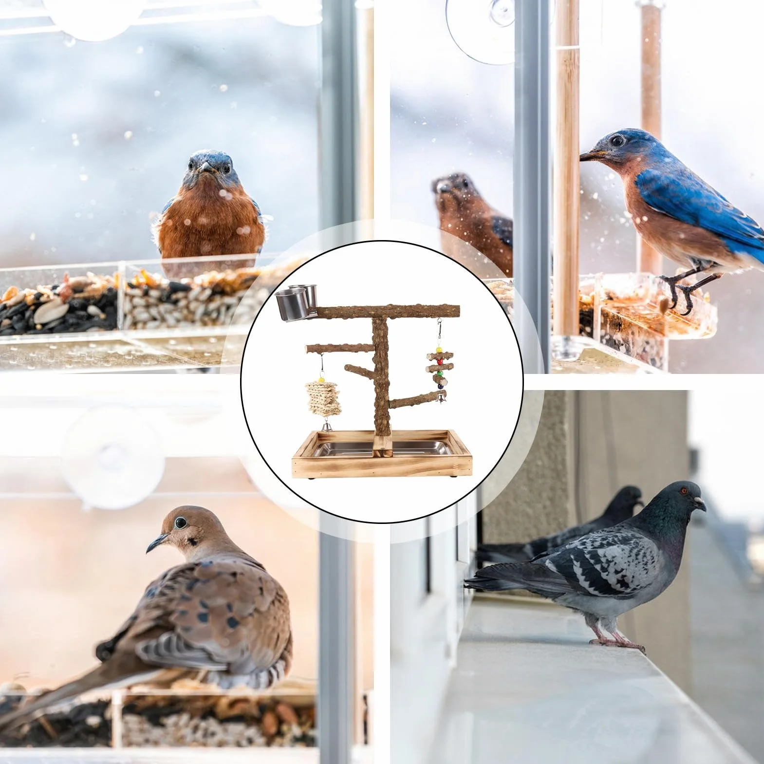 Perchoir pour Oiseaux Perchoir d'Activité avec Coupes à Nourriture | Perchoirs Bois pour Oiseaux Intérieur Extérieur Alimentation