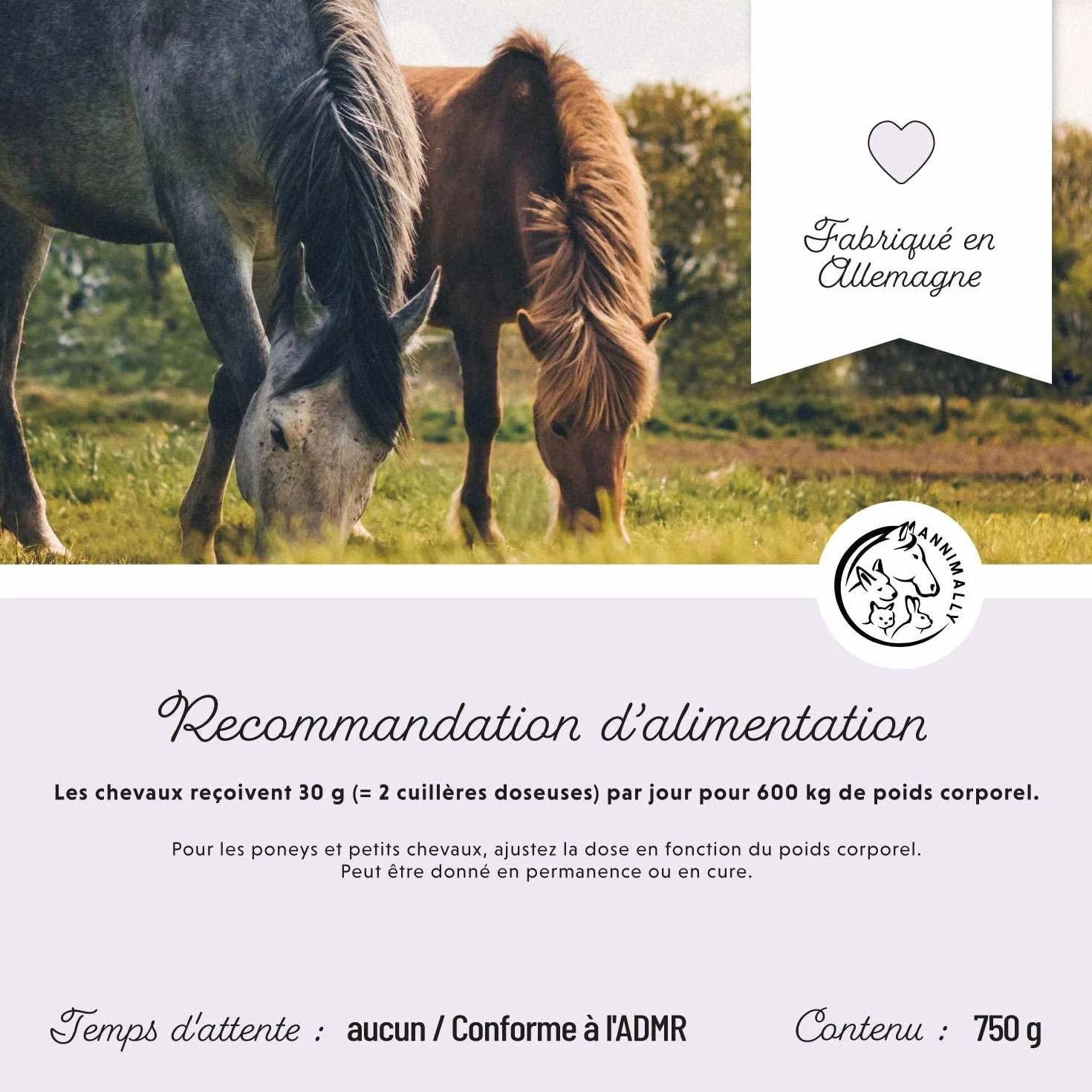 Poudre de probiotiques pour Chevaux 750 g avec levure Vivante Flore intestinale Saine