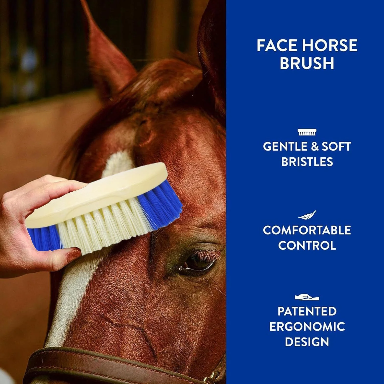 Brosse Bouchon pour Cheval - Outil de Pansage à Poils Durs pour Bétail et Équins
