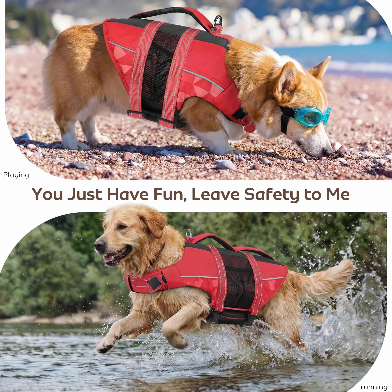 CITÉTOILE Gilet de Sauvetage pour Chien, Bouée Réglable avec Poignée, Maillot de Sécurité Aquatique, Rouge M