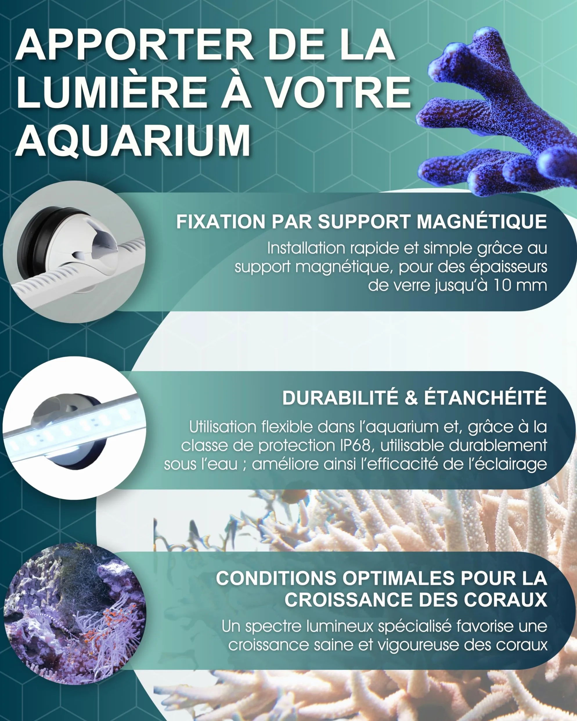Tunze LED white eco chic I LED-Leuchte für Korallenwachstum I Aquarienleuchte für Süß- & Meerwasseraquarien I inkl. Magnet Holder I Optimal als Unterwasser Pflanzenlicht & Beleuchtung für Becken