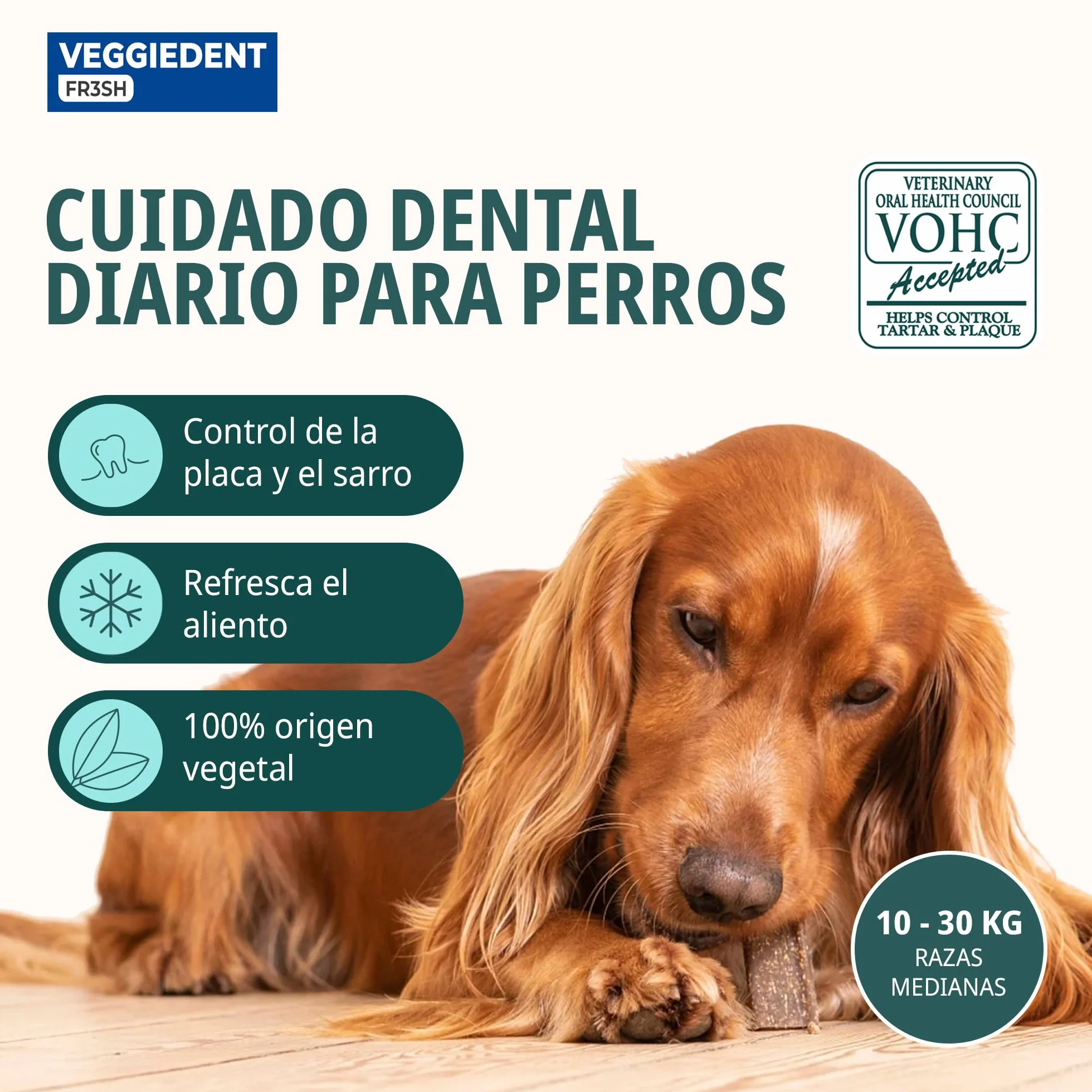 Veggiedent vn100760 bandes de snack fresh M