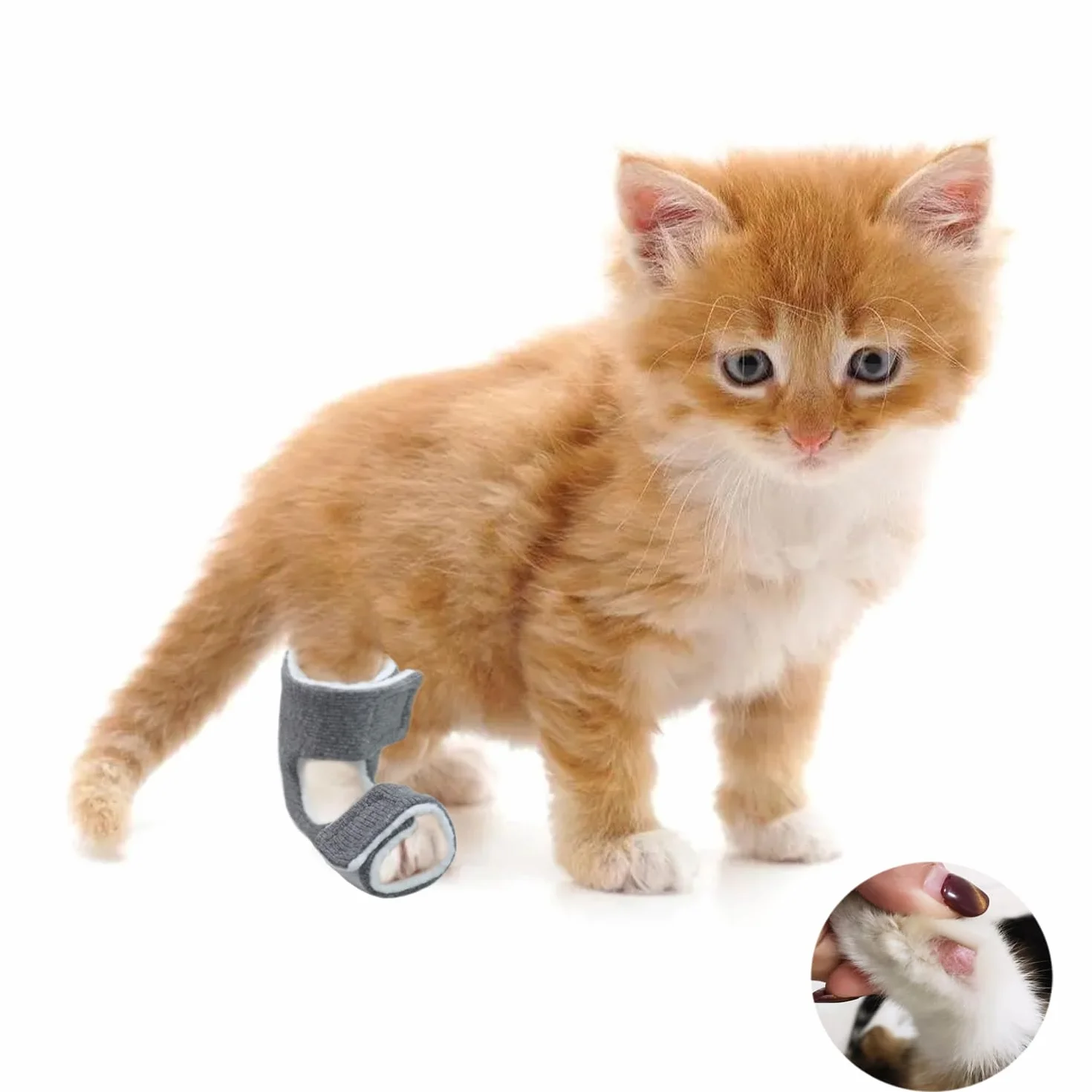Tinkare 1 Paire Chaussettes Protection Cheville Chat Récupération Douleur Plaies