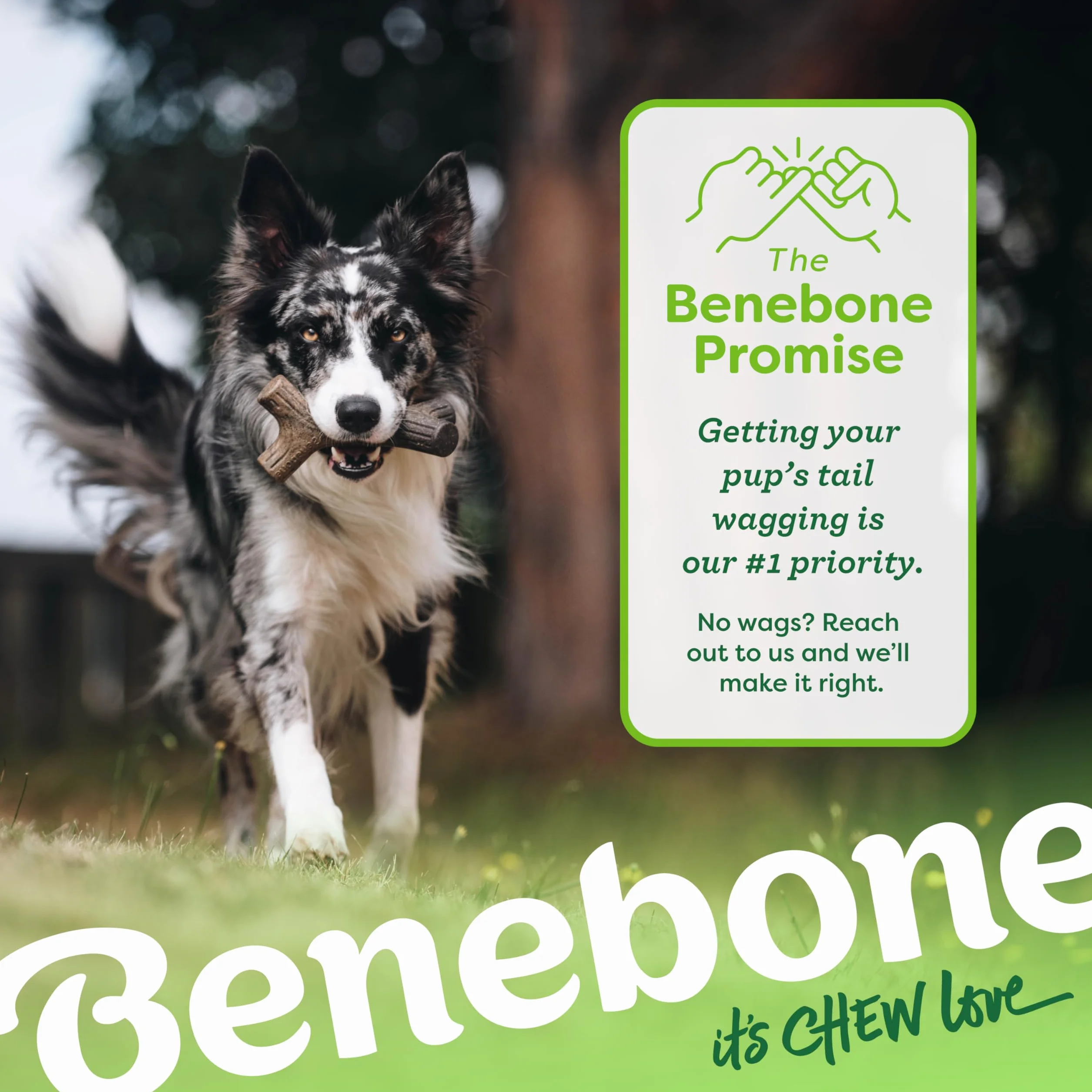 Benebone Bâton à mâcher Indestructible pour Grands Chiens, Saveur Bois d'érable, Durable et Résistant