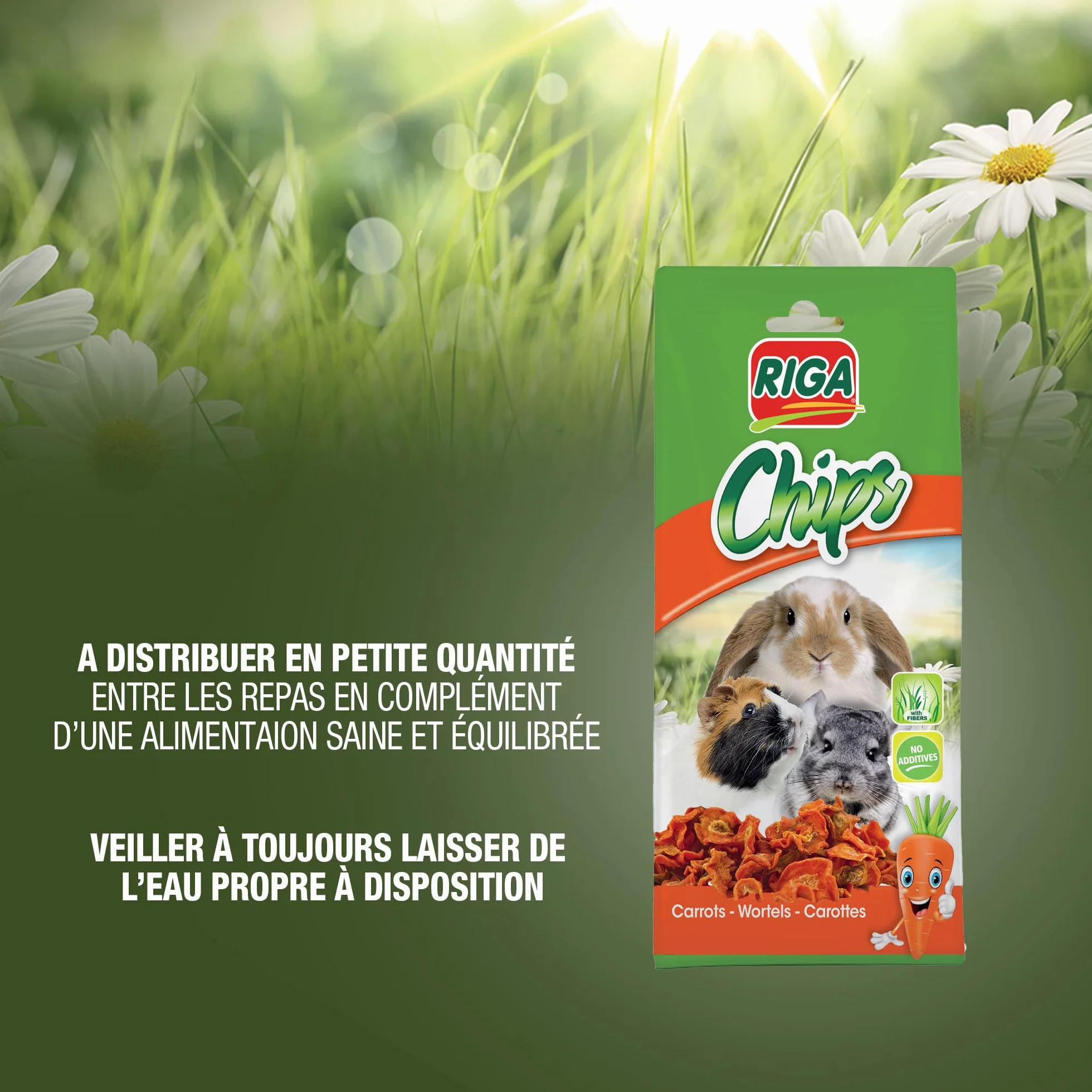 Riga Chips de Carotte Séchée Friandise Naturelle pour Rongeurs 50G