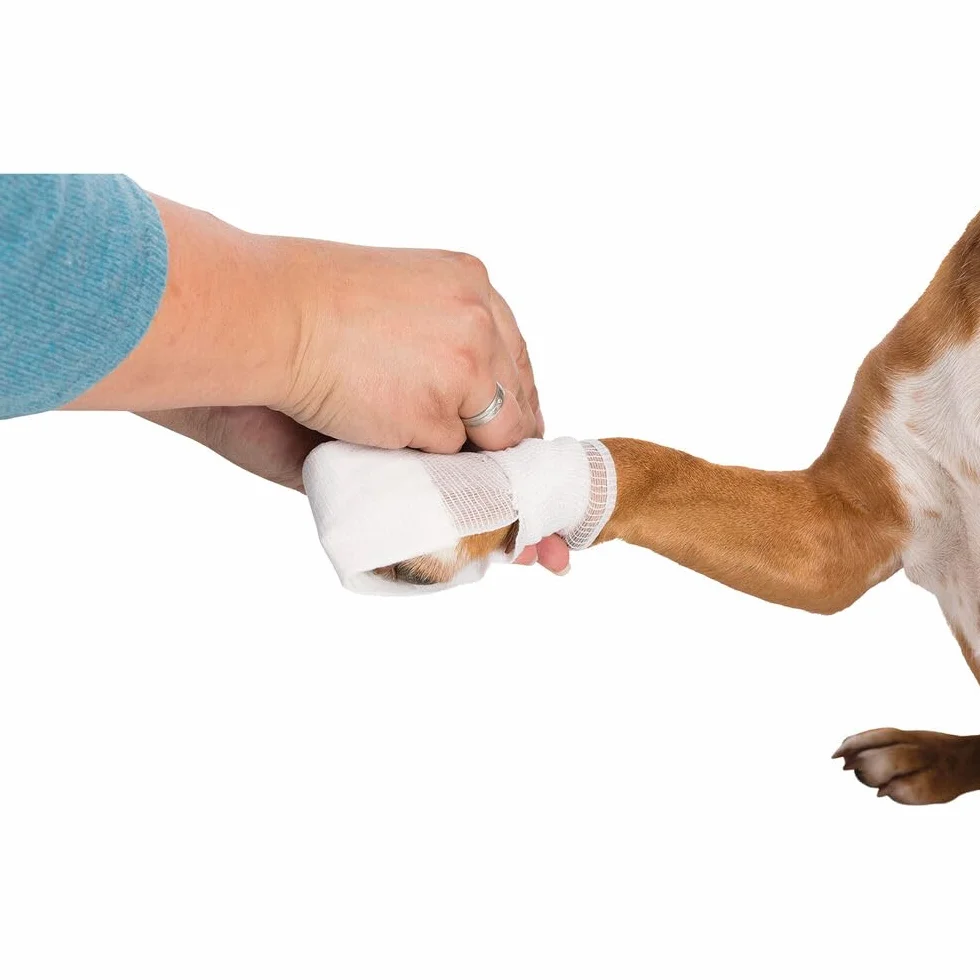 Trixie Set de Premier Secours pour Chien et Chat, 1 Unité