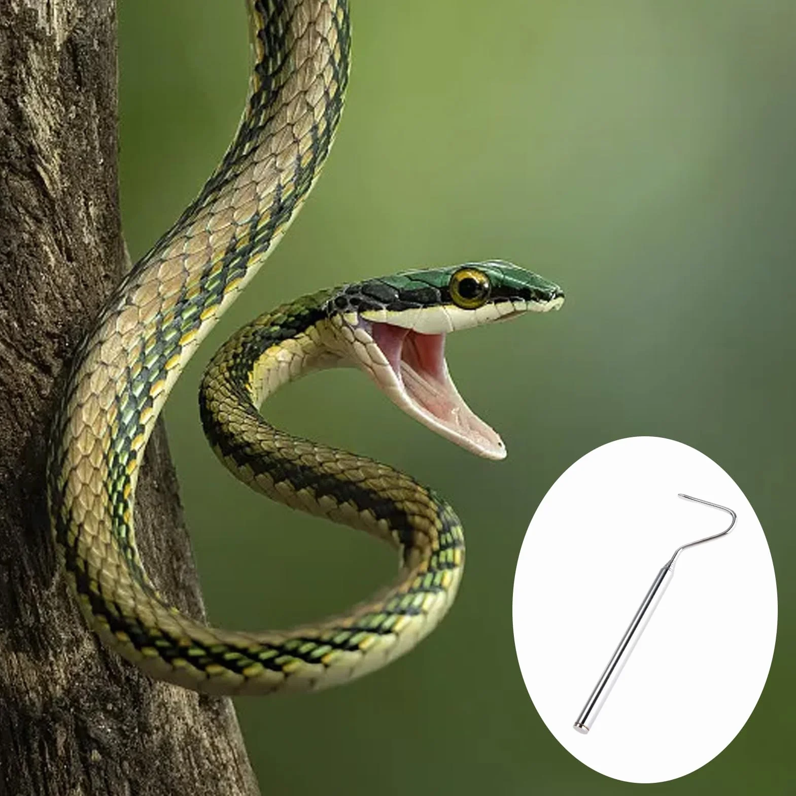 Pince à Crochet Télescopique en Acier Inoxydable pour Attraper les Reptiles