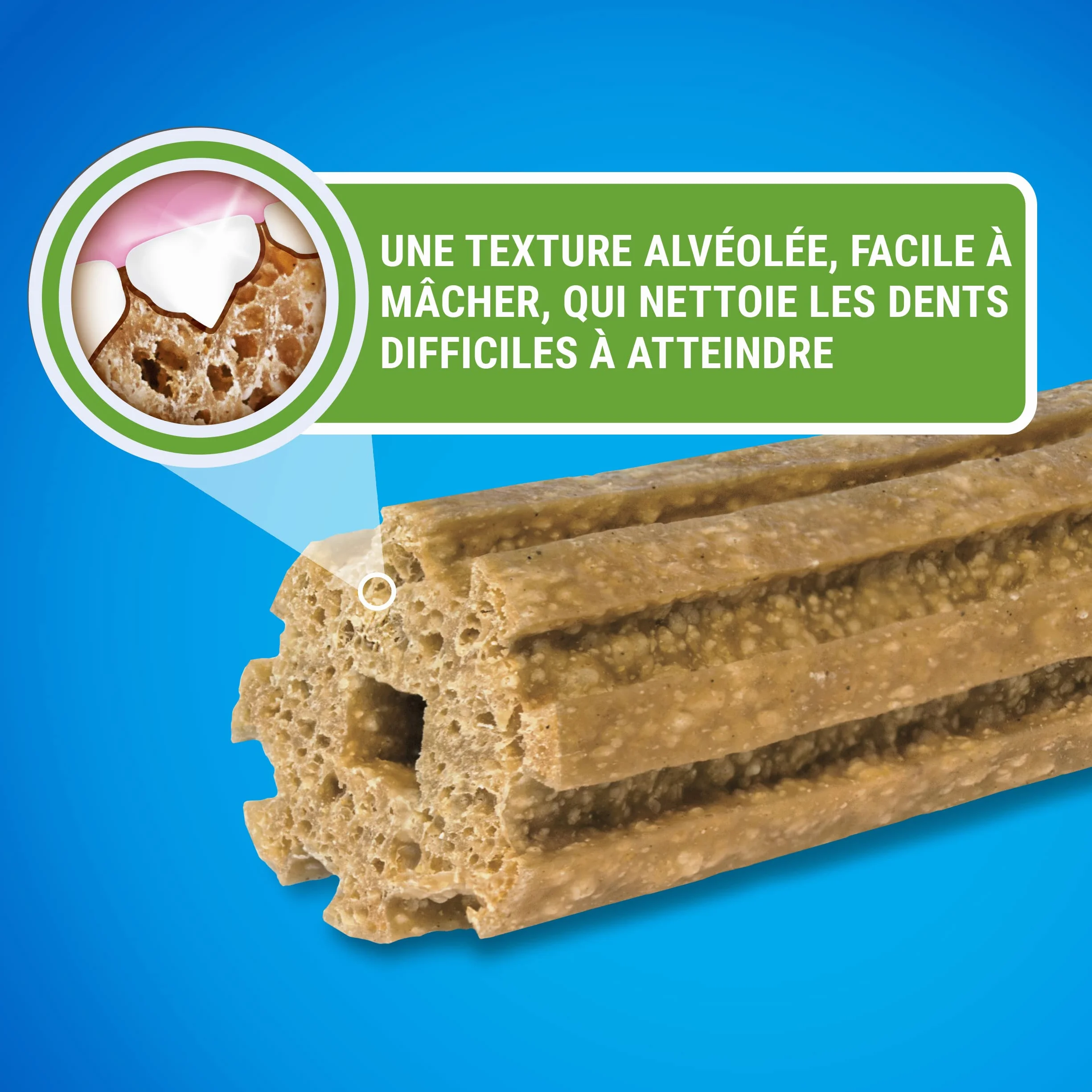 DENTALIFE Maxi MultiPack Friandises 1272g